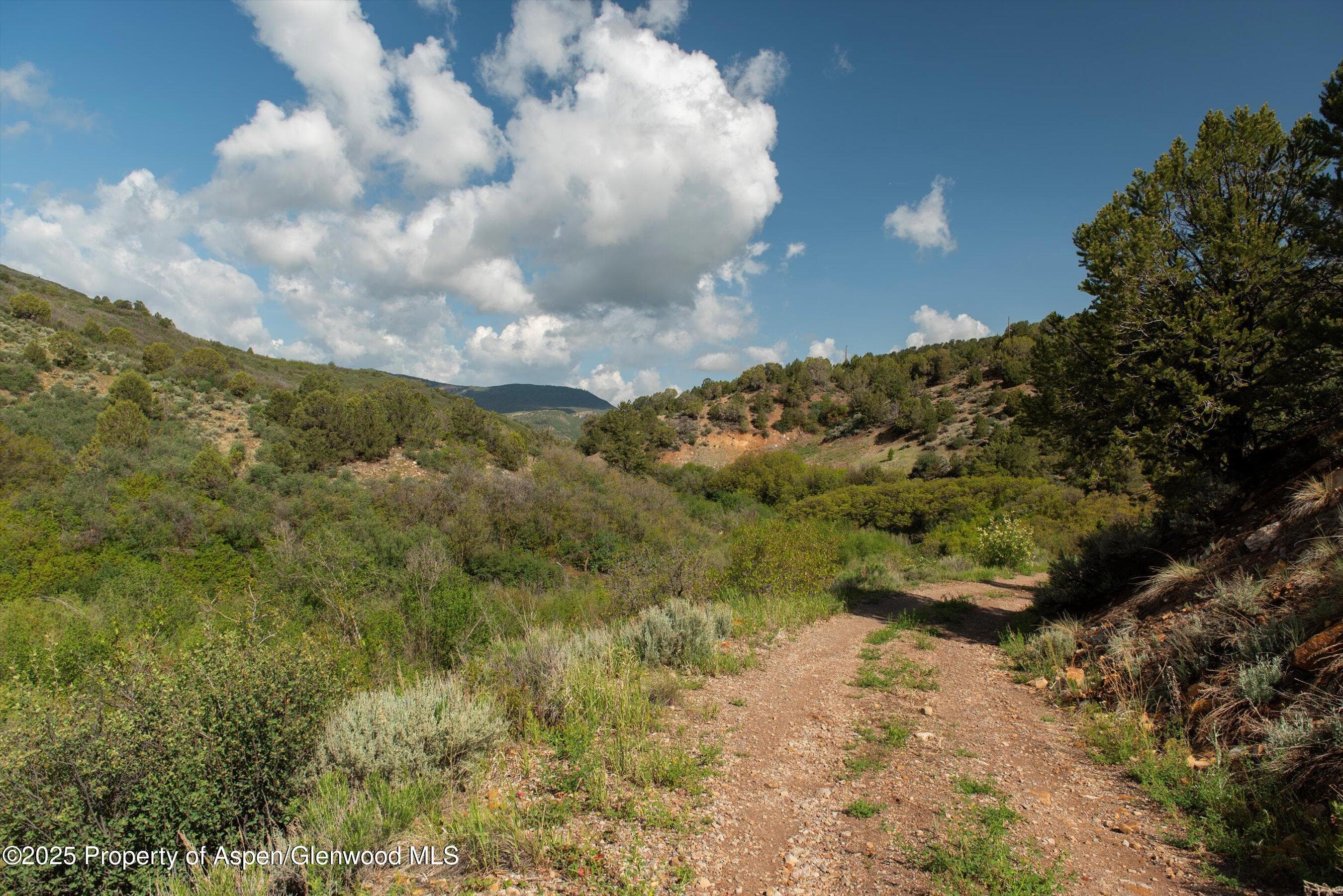 3691 E Sopris Creek Road, Basalt, CO 81621 - Photo 12