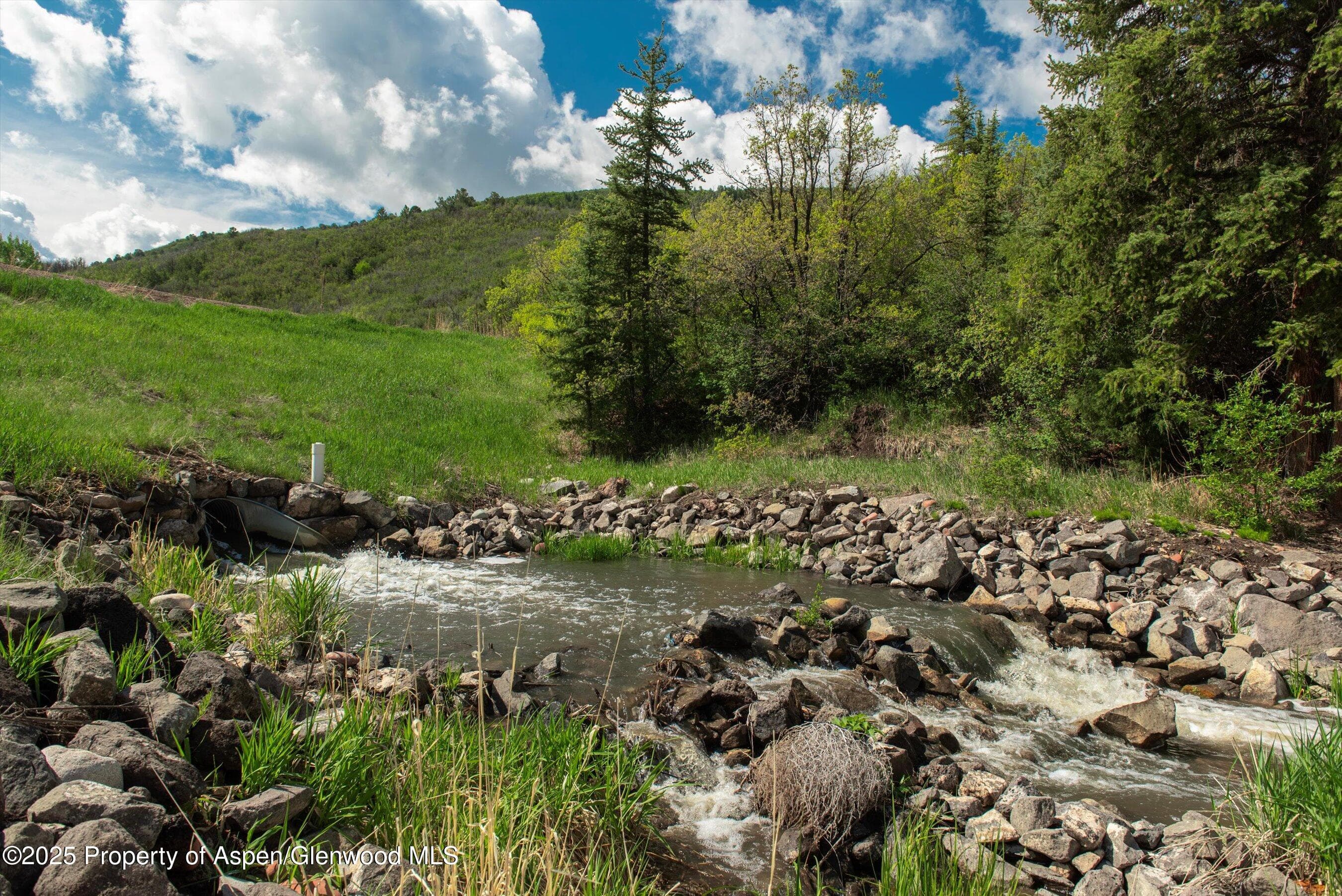 3691 E Sopris Creek Road, Basalt, CO 81621 - Photo 14