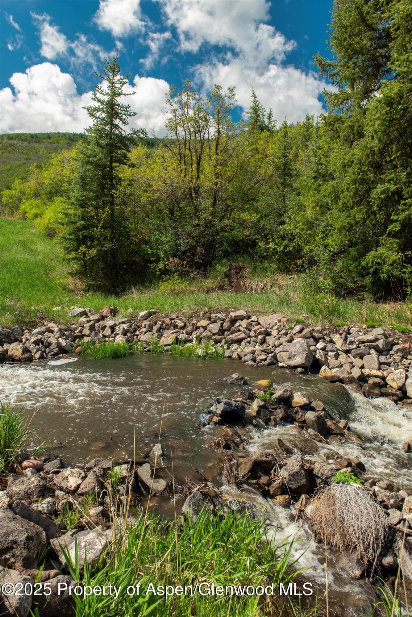3691 E Sopris Creek Road, Basalt, CO 81621 - Photo 16