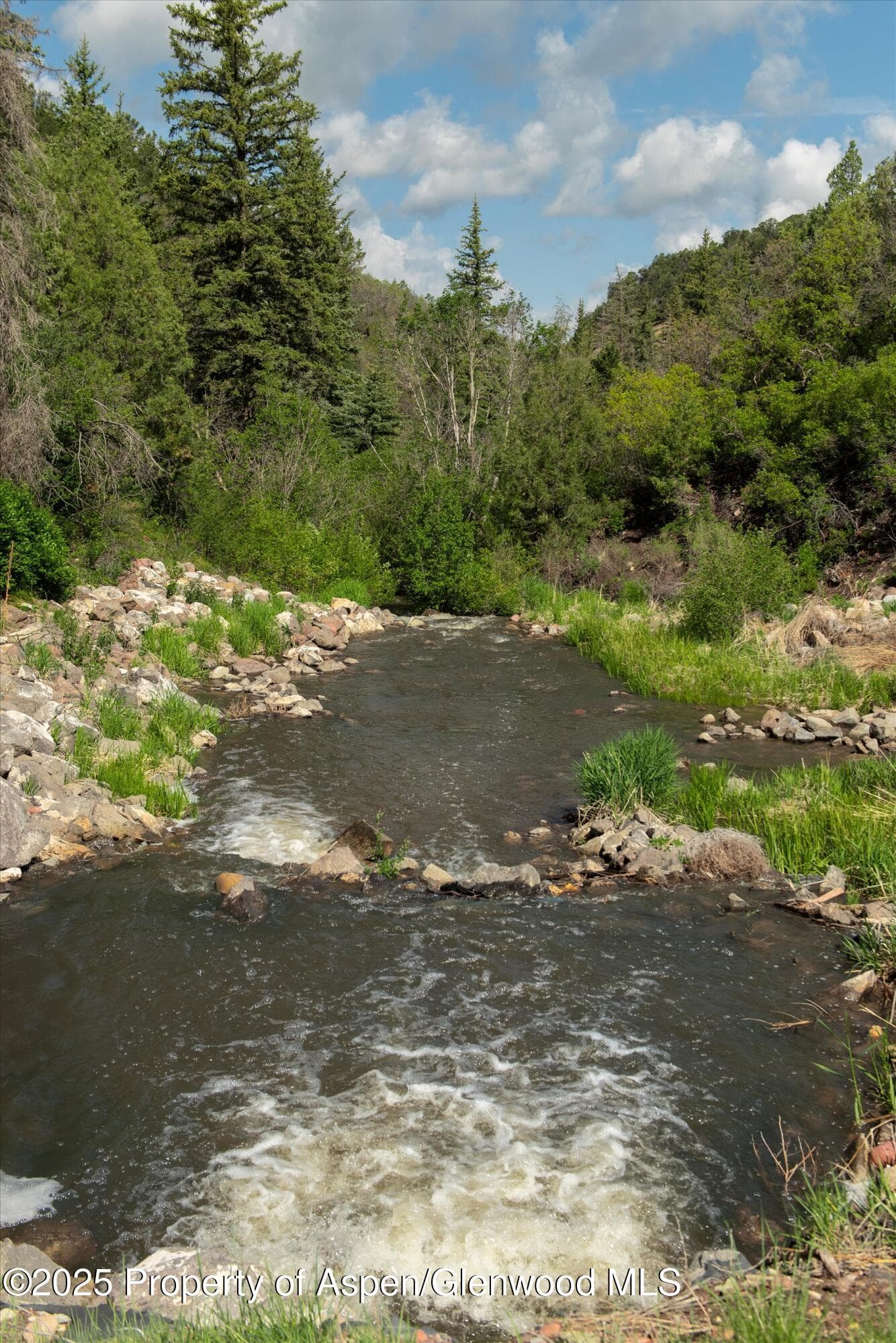 3691 E Sopris Creek Road, Basalt, CO 81621 - Photo 18