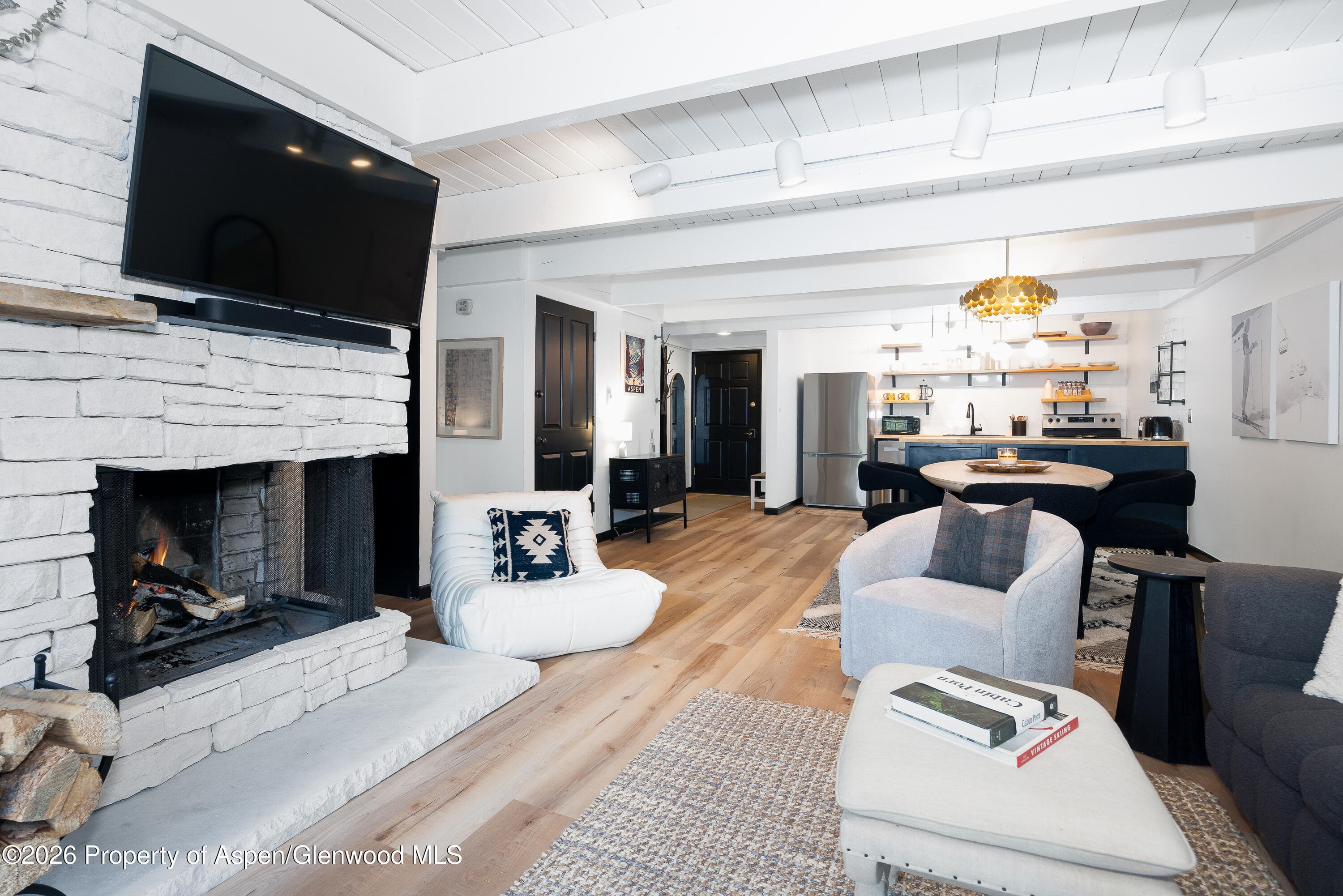 901 E Hyman Avenue 4, Aspen, CO 81611 - Photo 5