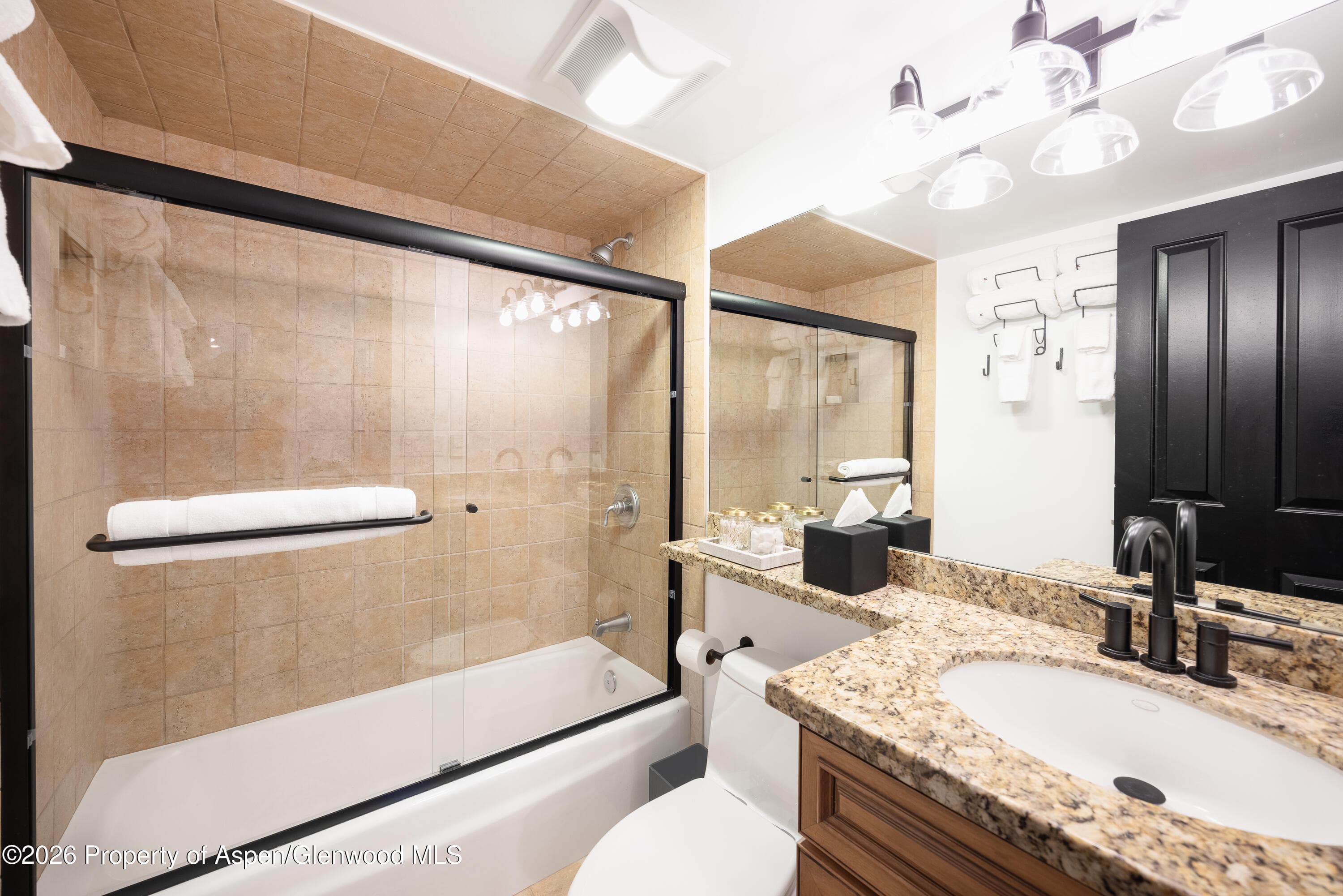 901 E Hyman Avenue 4, Aspen, CO 81611 - Photo 10