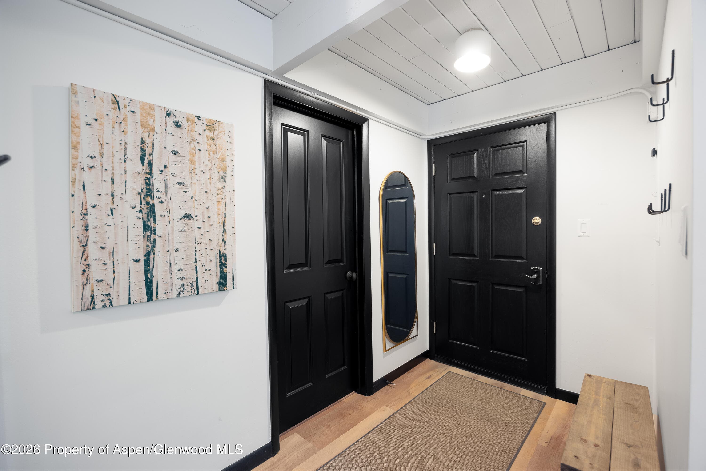 901 E Hyman Avenue 4, Aspen, CO 81611 - Photo 1