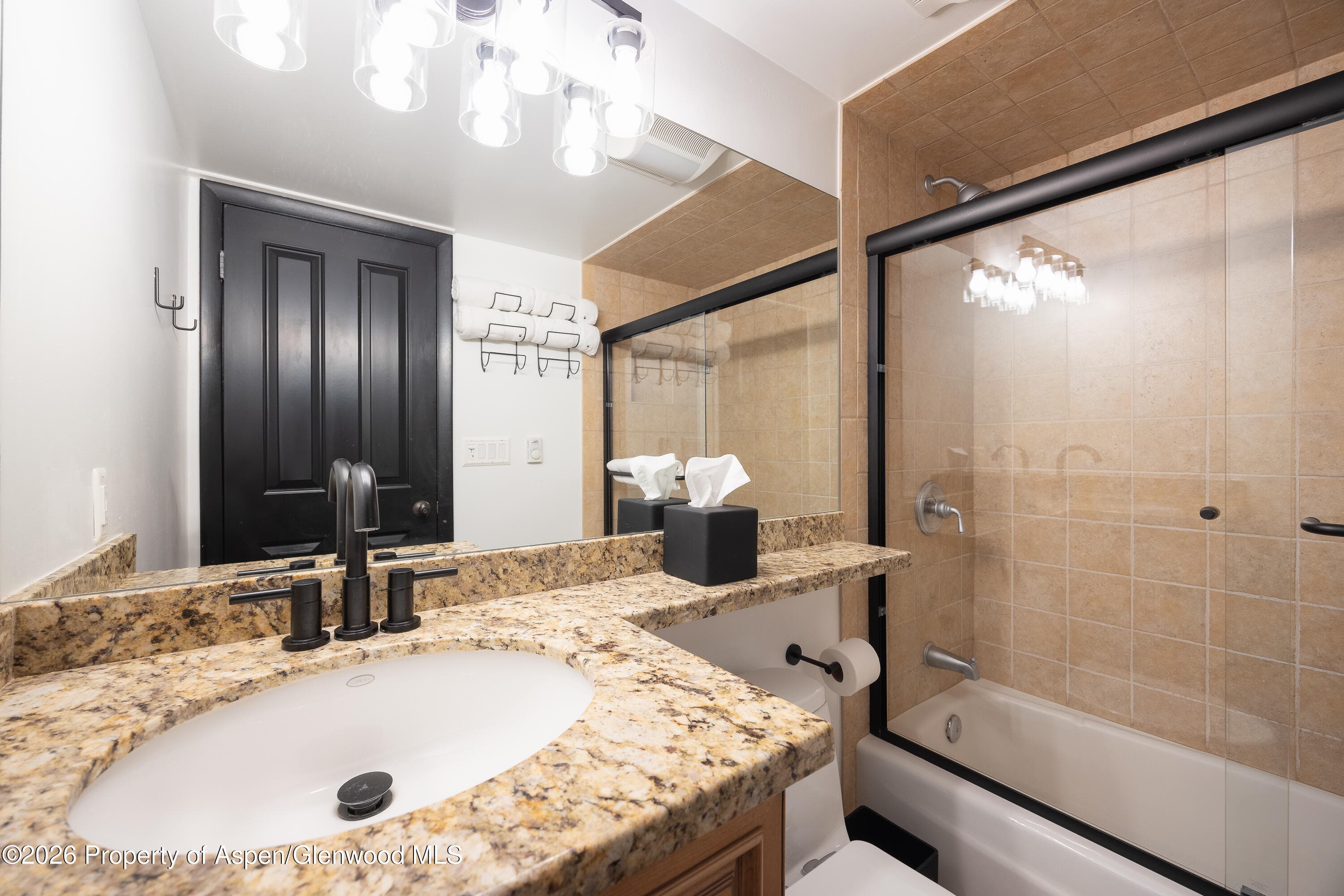 901 E Hyman Avenue 4, Aspen, CO 81611 - Photo 13
