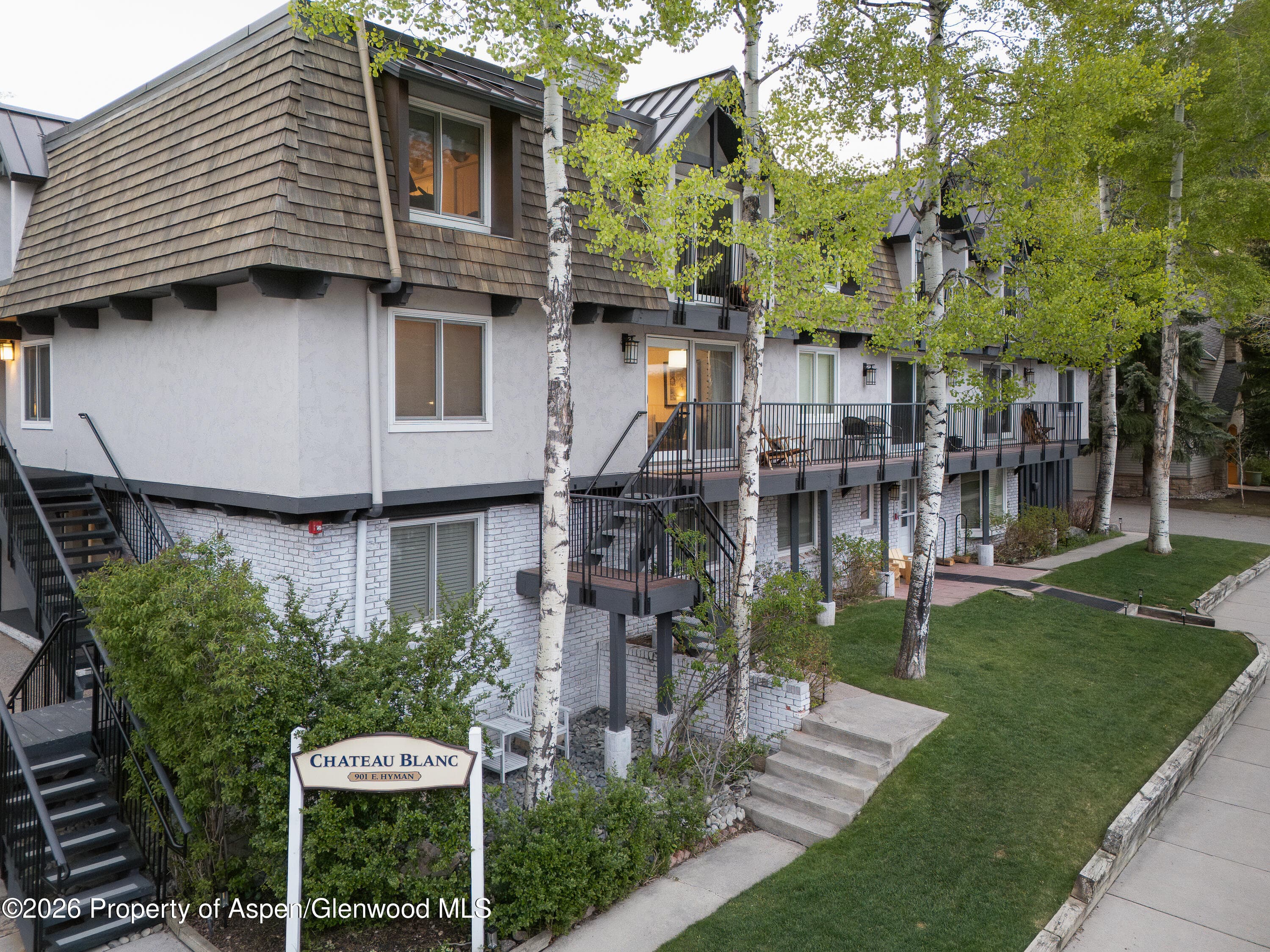 901 E Hyman Avenue 4, Aspen, CO 81611 - Photo 15
