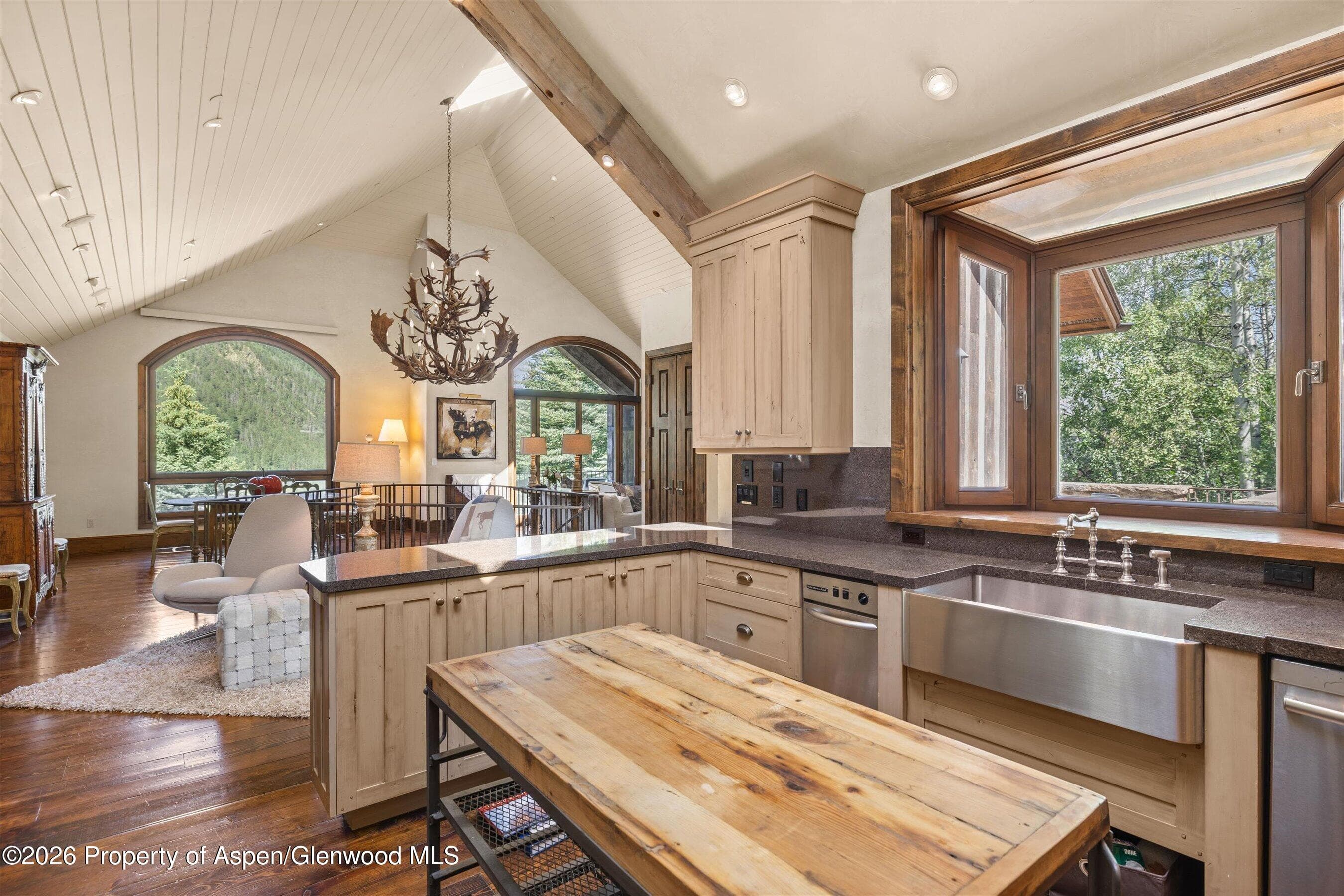 268 Mountain Laurel Drive, Aspen, CO 81611 - Photo 12