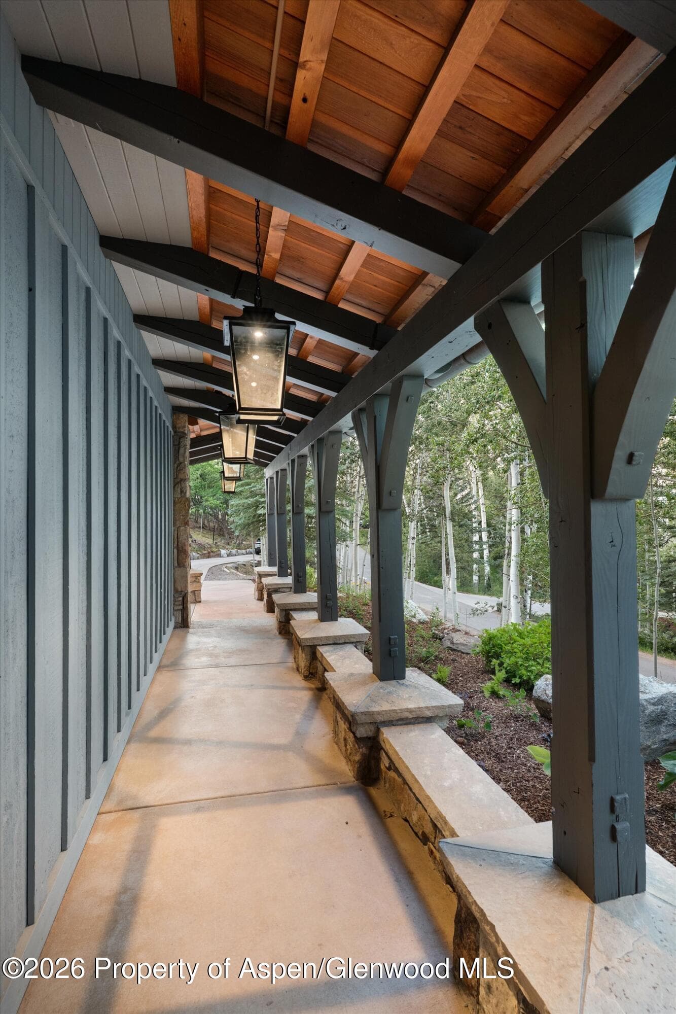 45 Ermine Lane, Snowmass Village, CO 81615 - Photo 55
