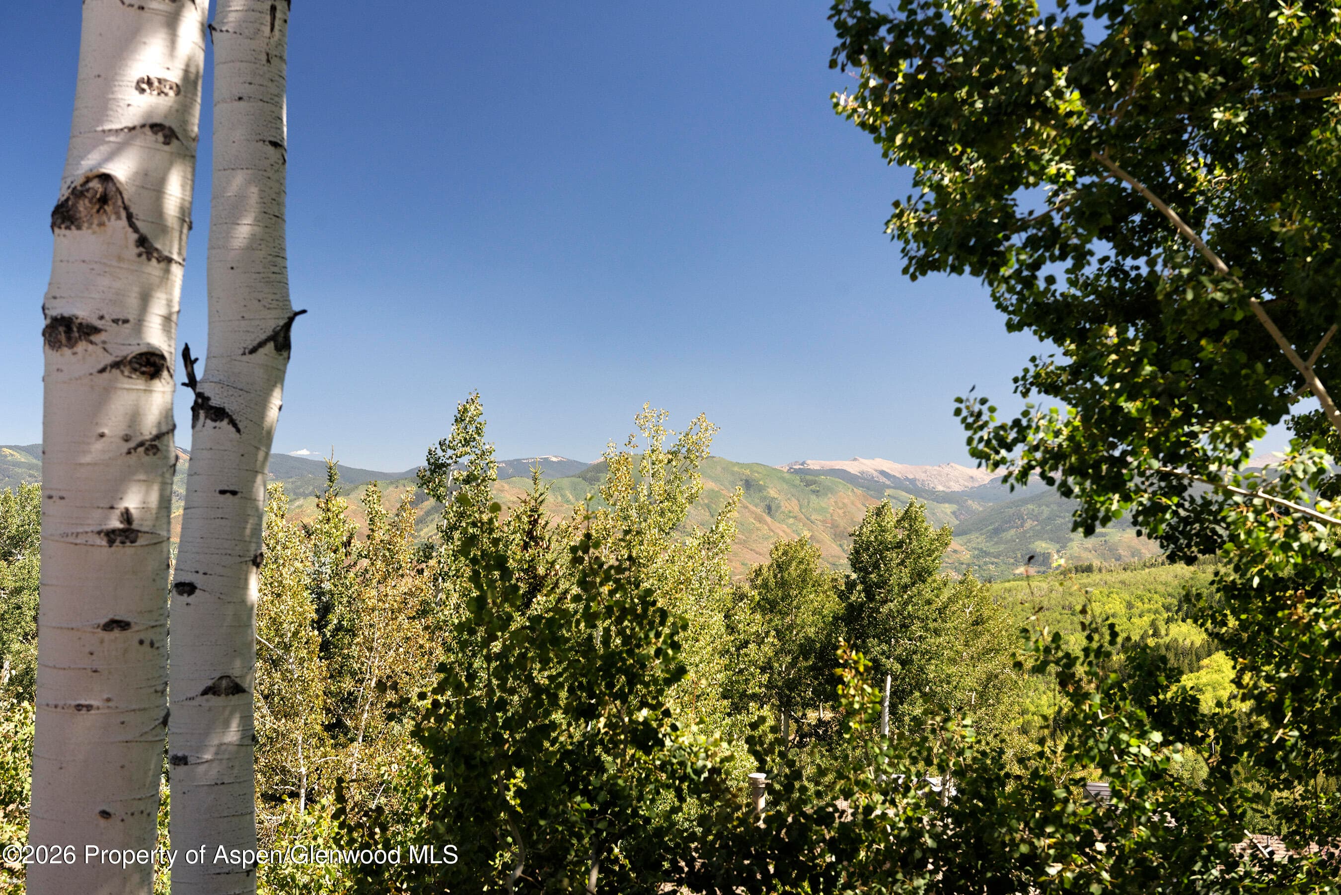 45 Ermine Lane, Snowmass Village, CO 81615 - Photo 63