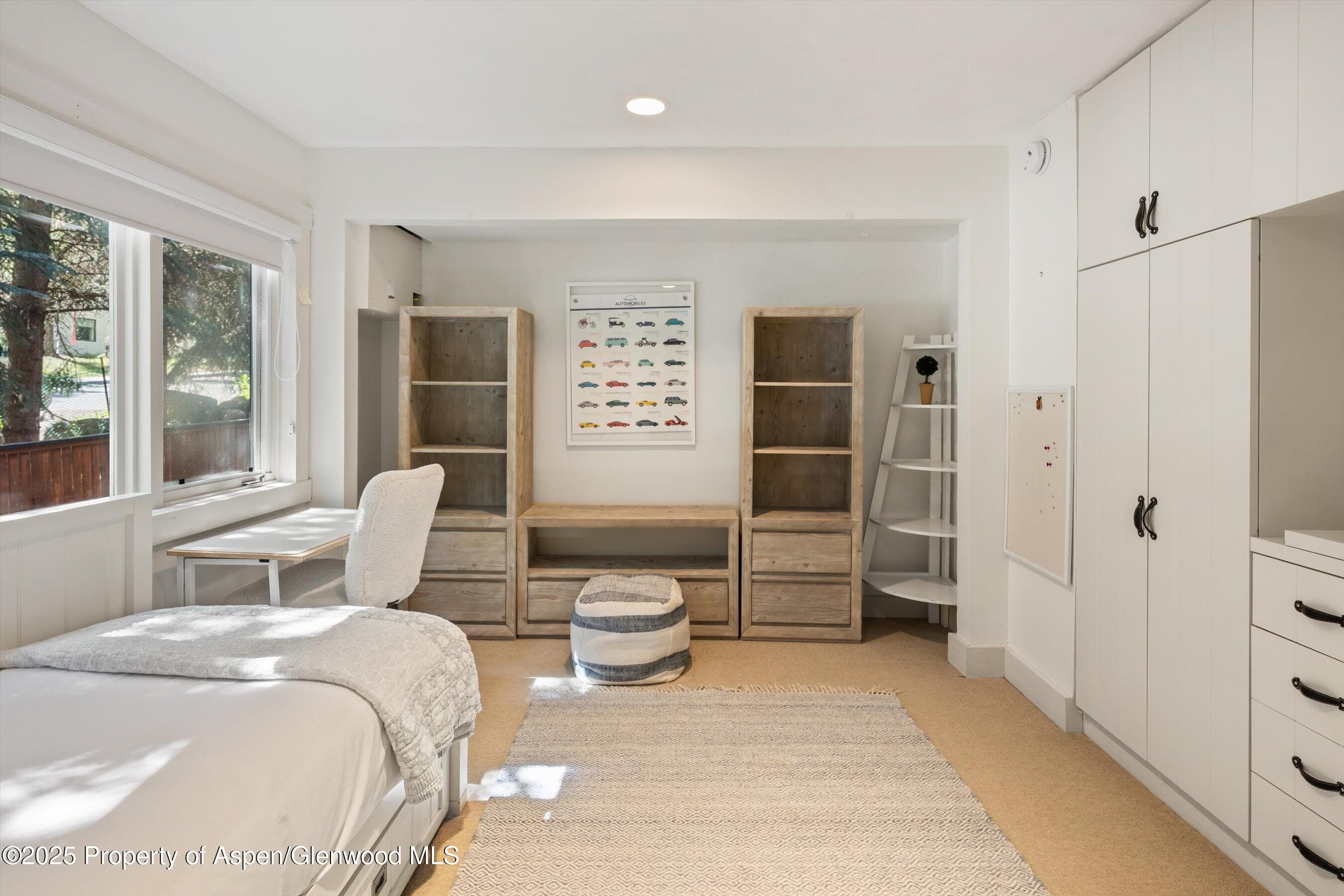 901 W Francis Street, Aspen, CO 81611 - Photo 17
