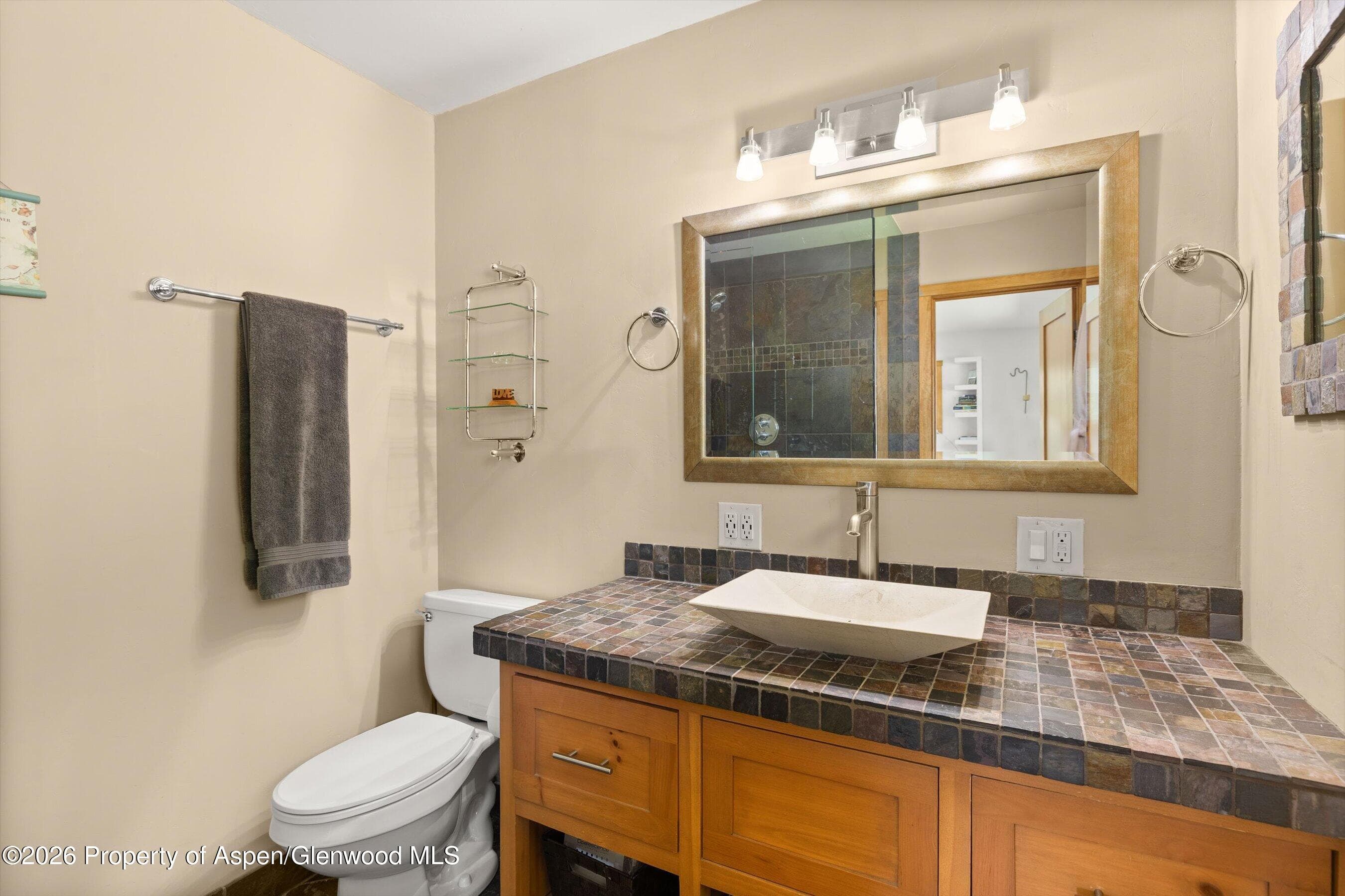 564 Grace Drive, Carbondale, CO 81623 - Photo 13