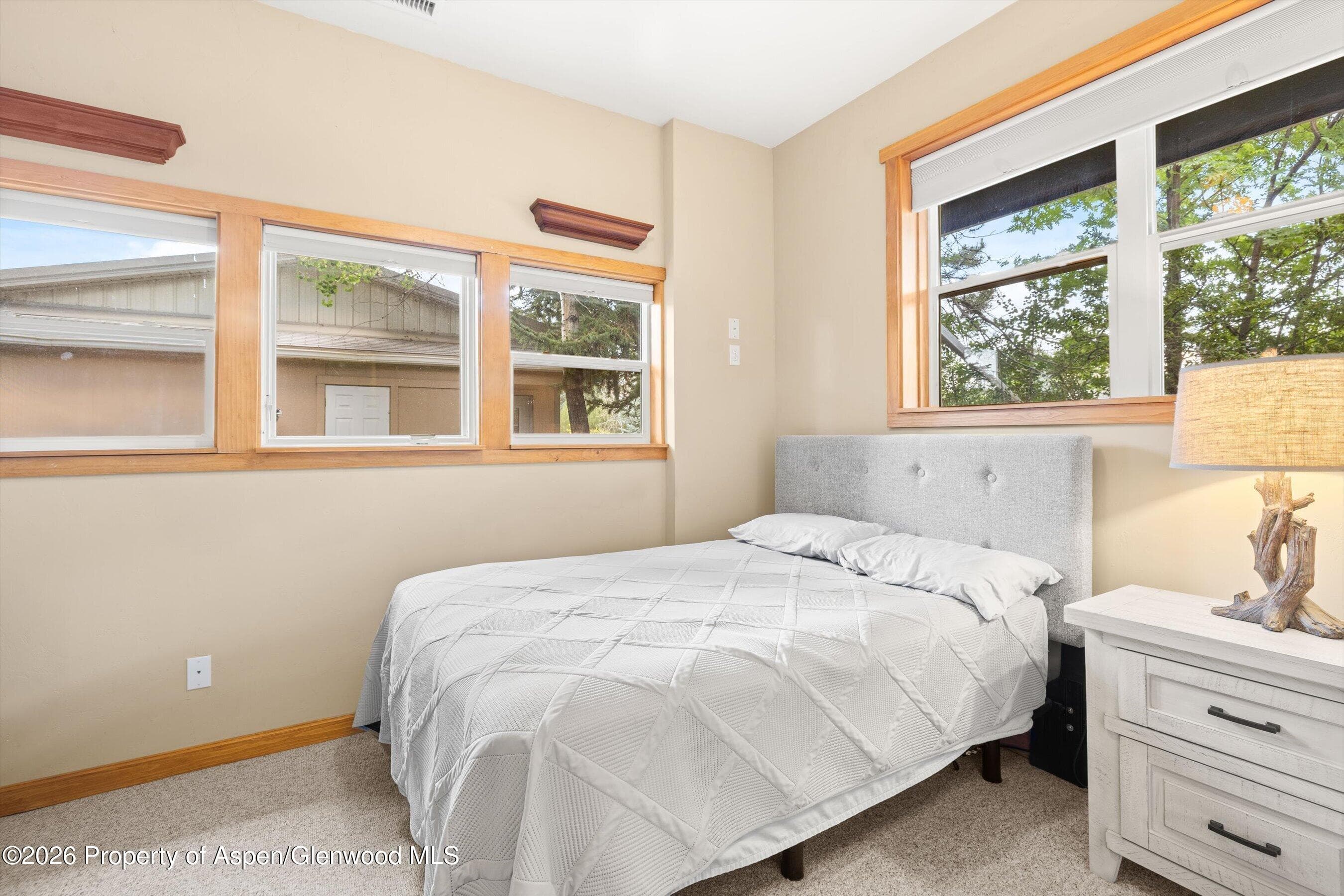 564 Grace Drive, Carbondale, CO 81623 - Photo 27