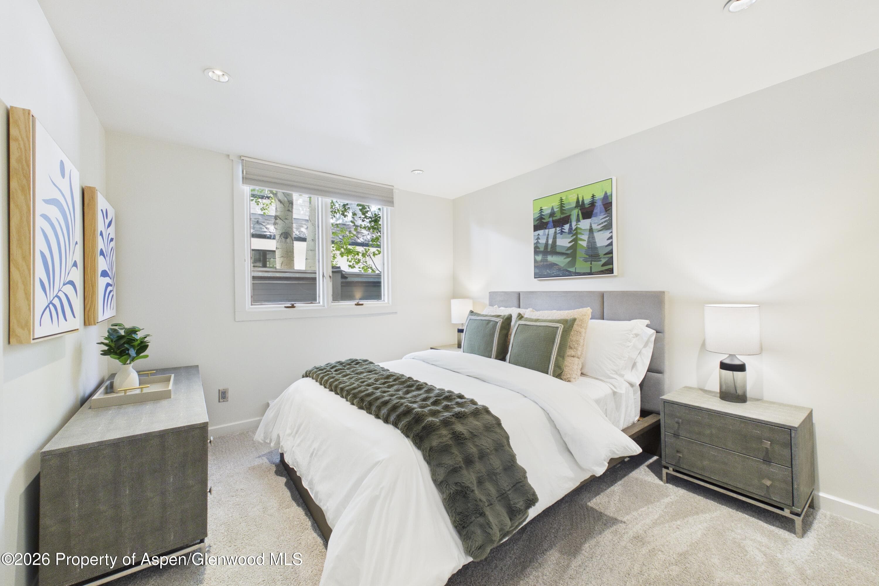 506 W Hallam Street, Aspen, CO 81611 - Photo 23