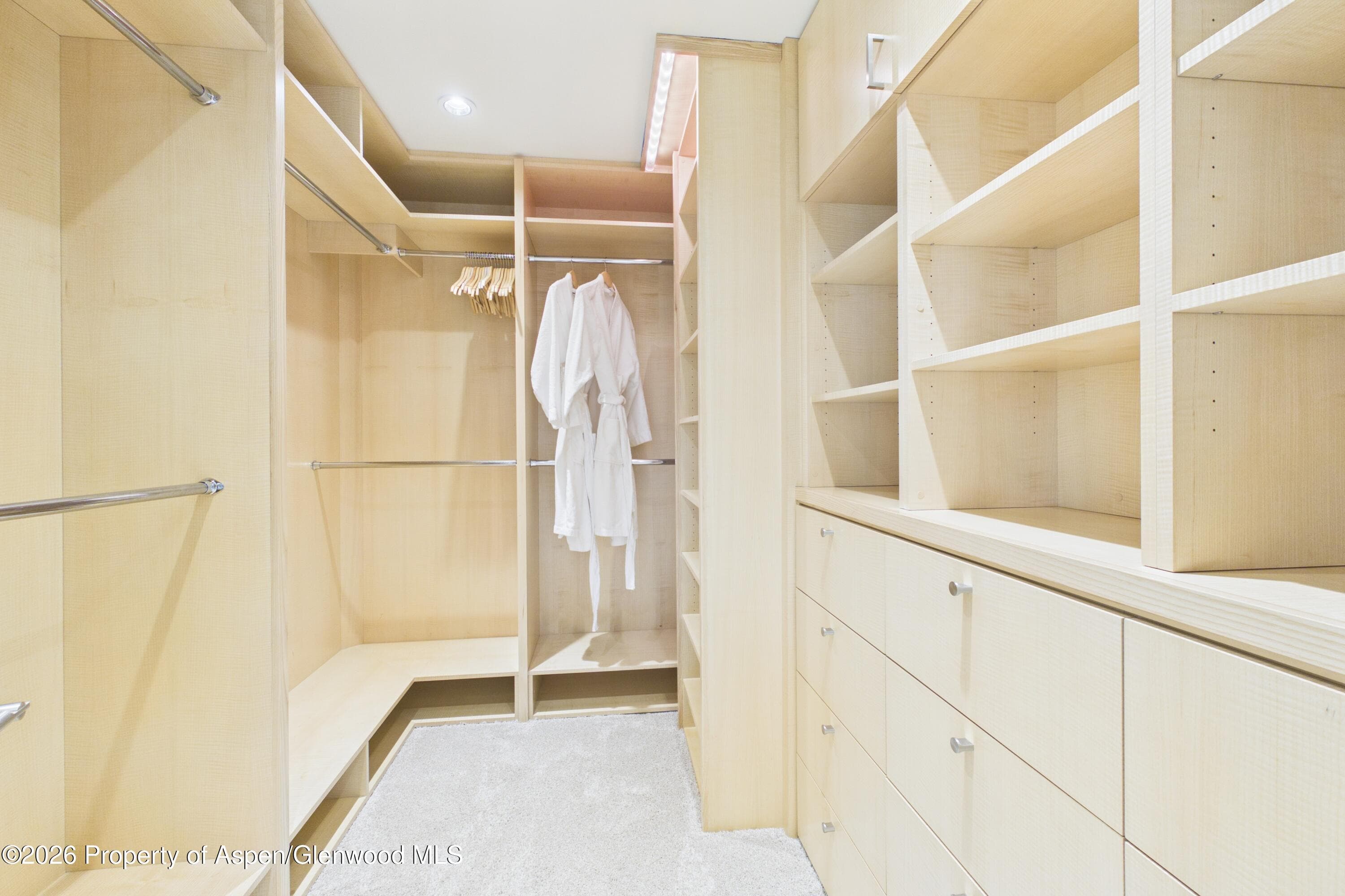 506 W Hallam Street, Aspen, CO 81611 - Photo 19