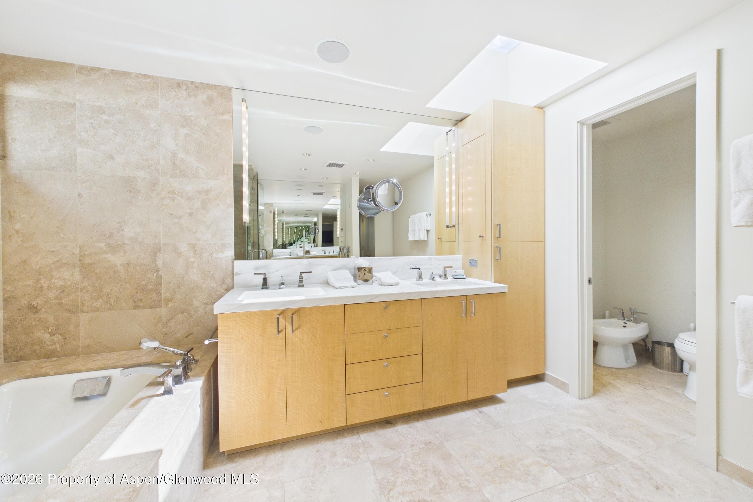 506 W Hallam Street, Aspen, CO 81611 - Photo 18