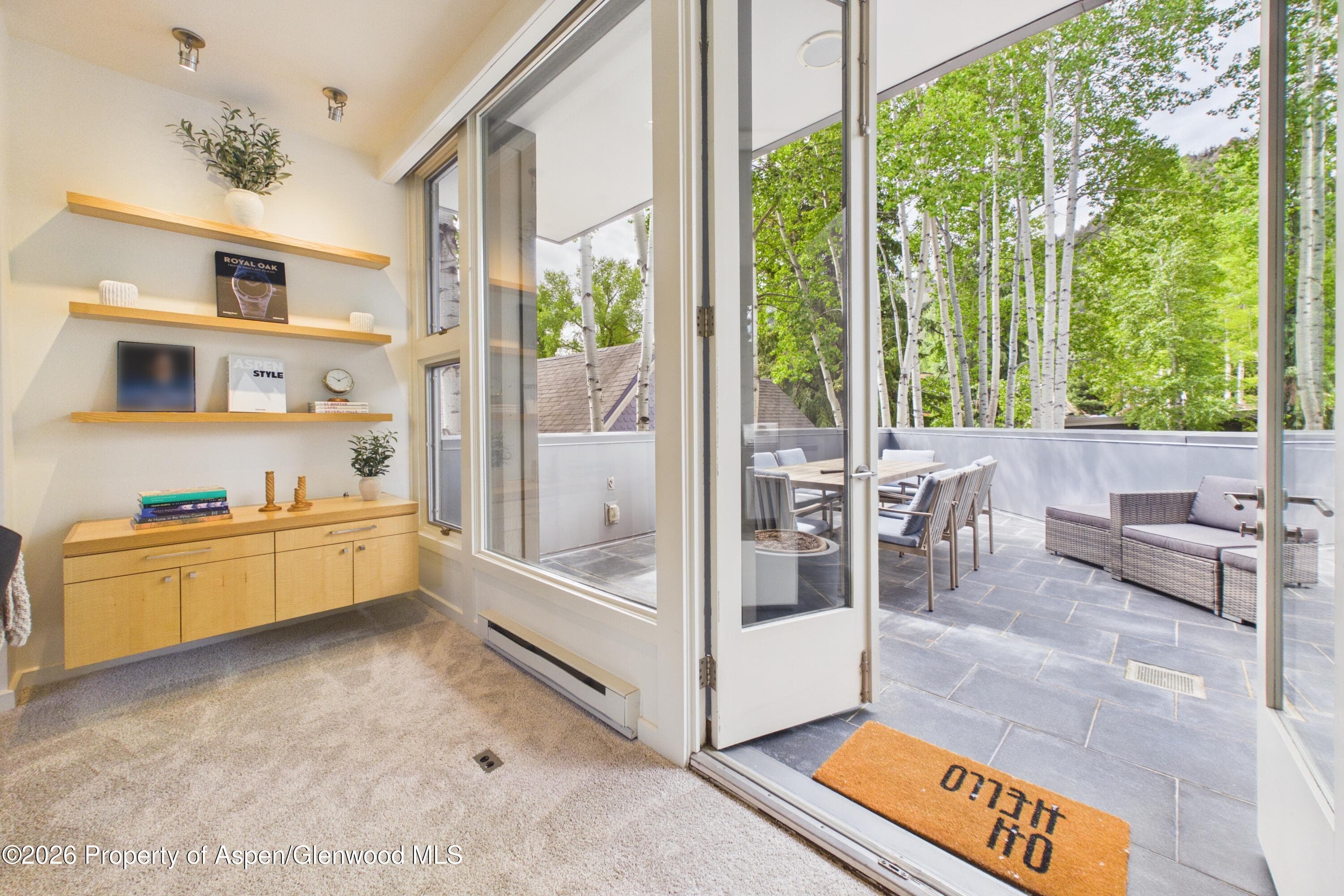 506 W Hallam Street, Aspen, CO 81611 - Photo 10