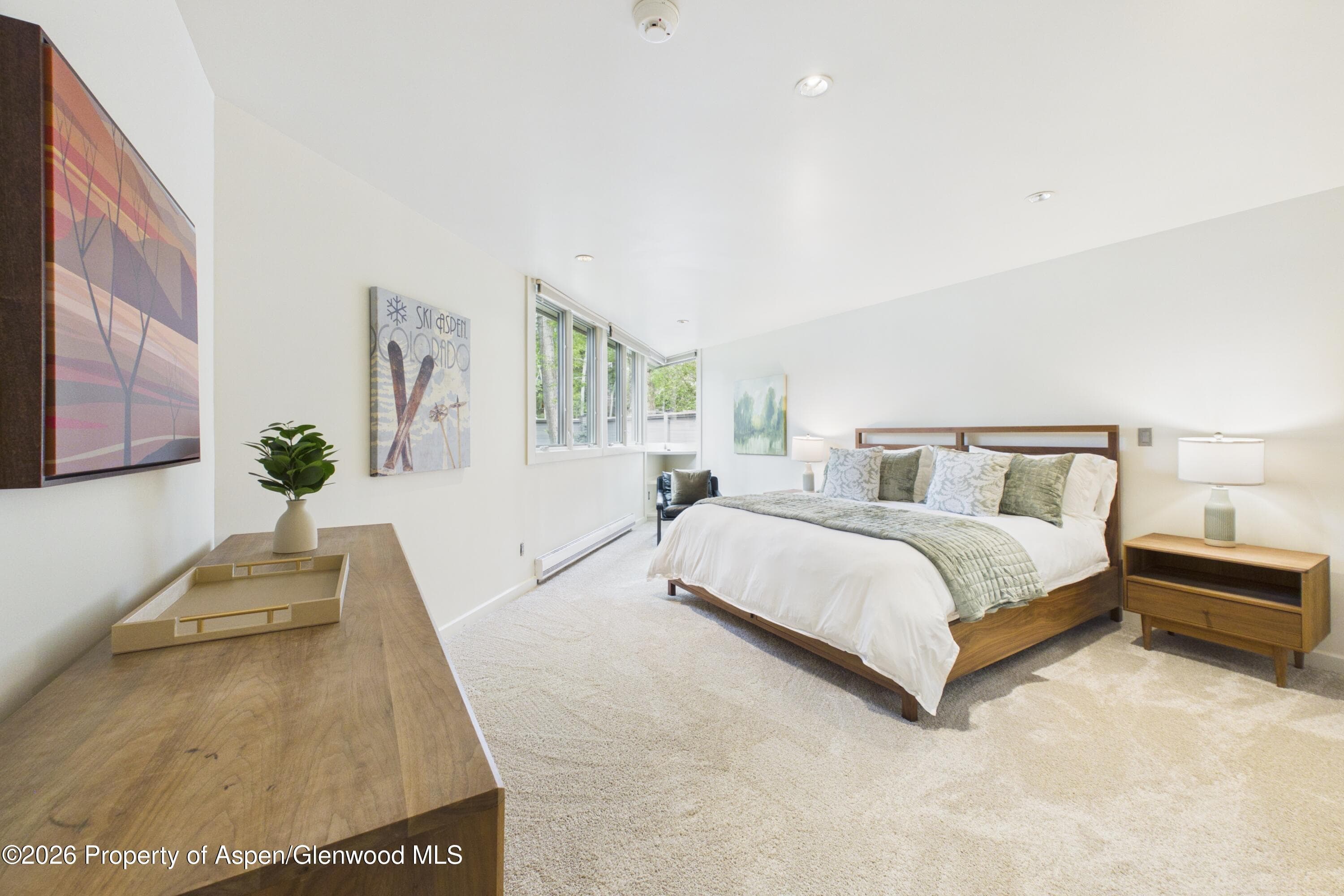506 W Hallam Street, Aspen, CO 81611 - Photo 21