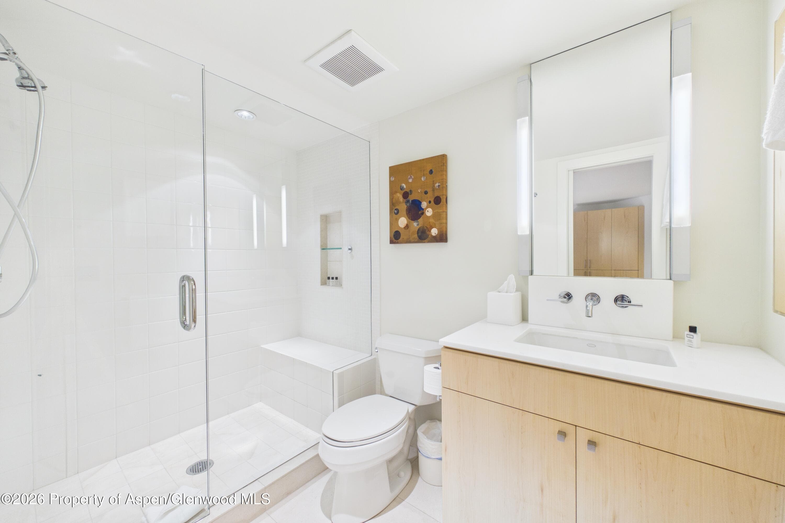 506 W Hallam Street, Aspen, CO 81611 - Photo 27