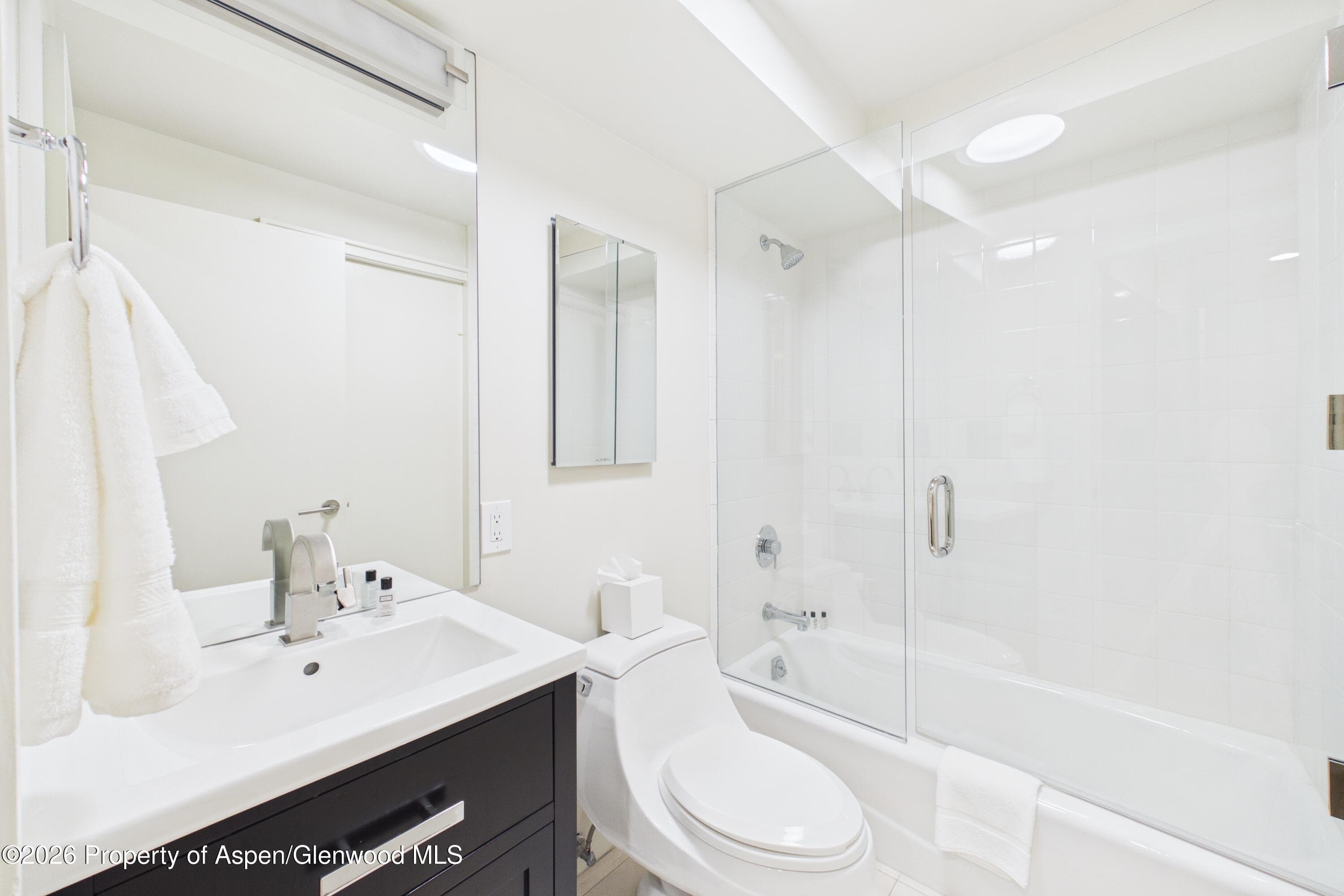 506 W Hallam Street, Aspen, CO 81611 - Photo 32