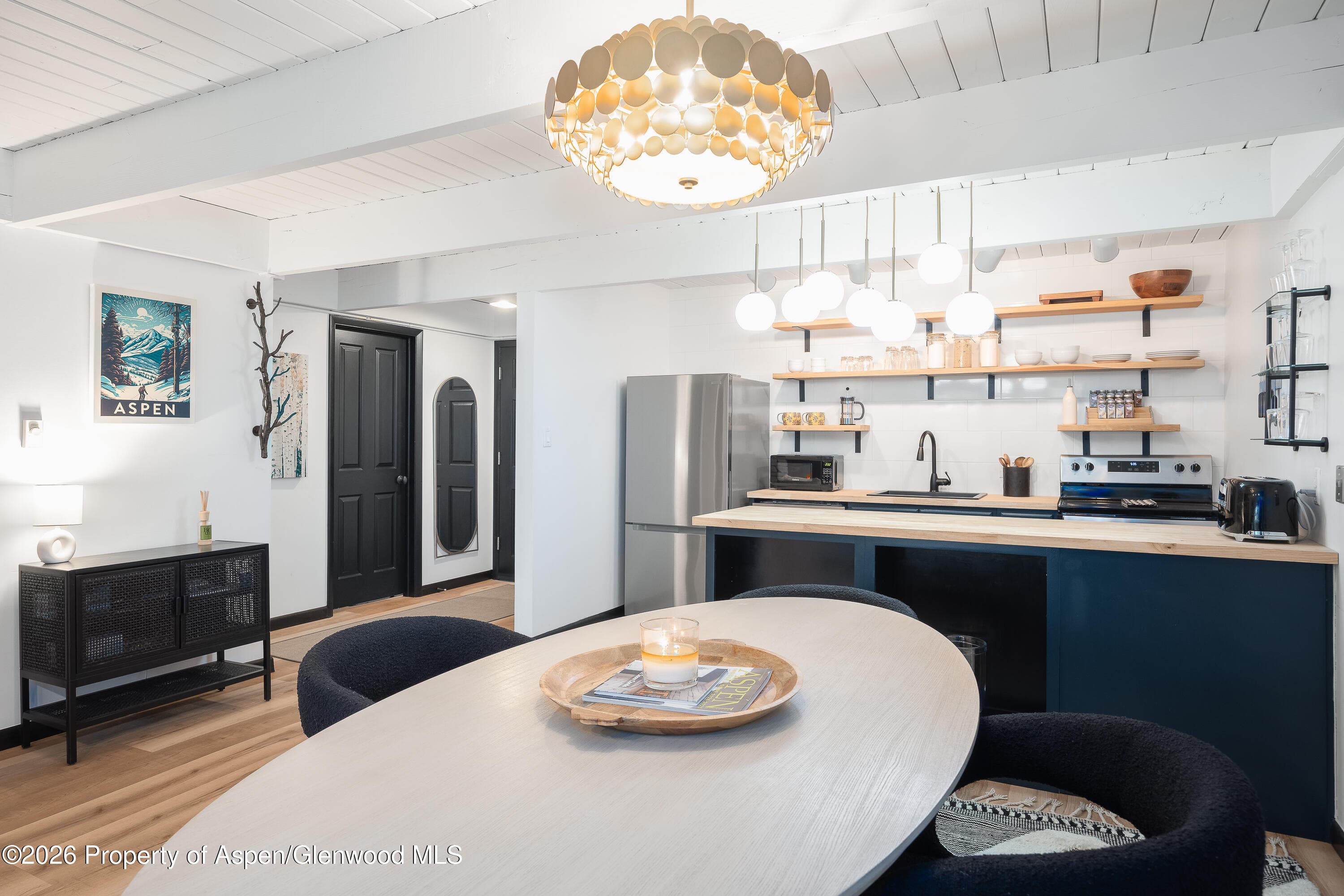 901 E Hyman Avenue 4, Aspen, CO 81611 - Photo 7