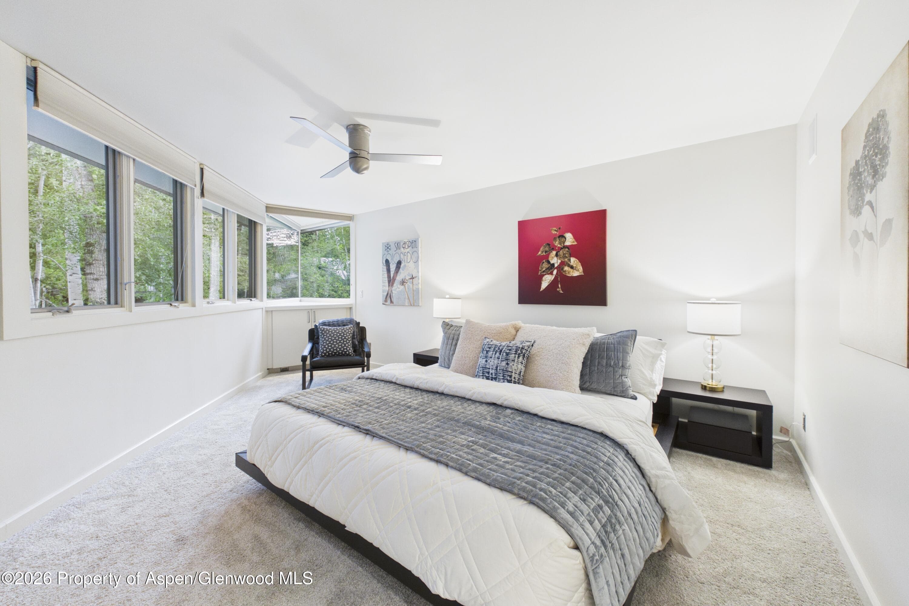 506 W Hallam Street, Aspen, CO 81611 - Photo 16