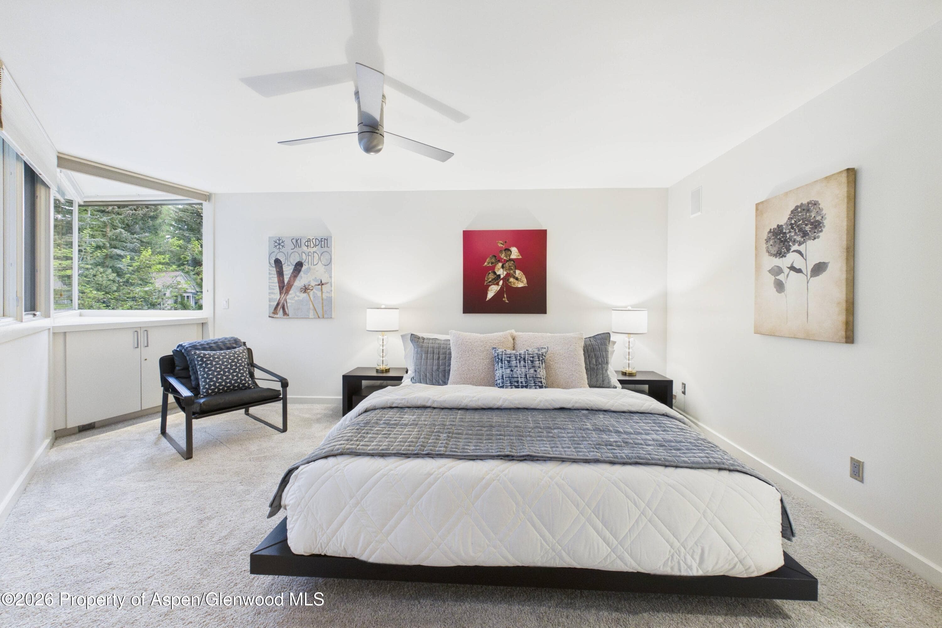 506 W Hallam Street, Aspen, CO 81611 - Photo 15