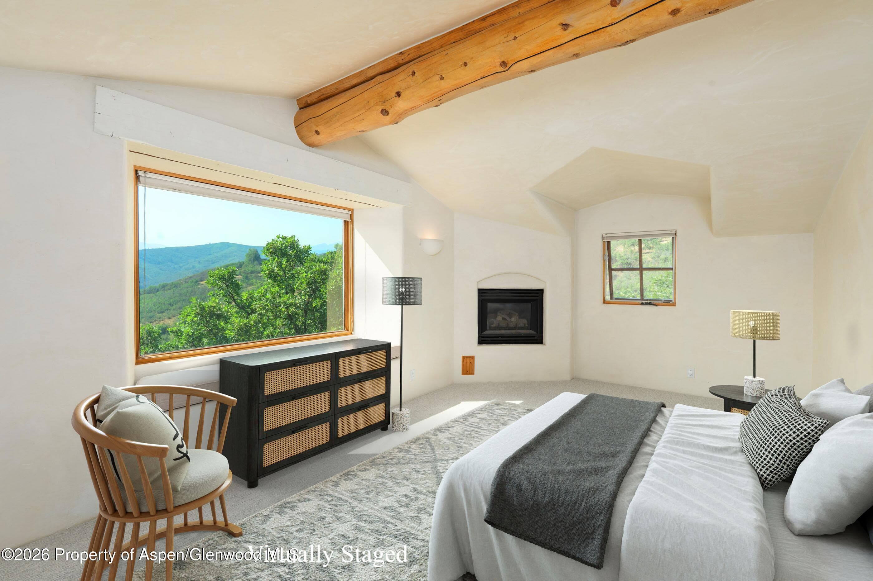 90 Sagebrush Lane, Aspen, CO 81611 - Photo 3