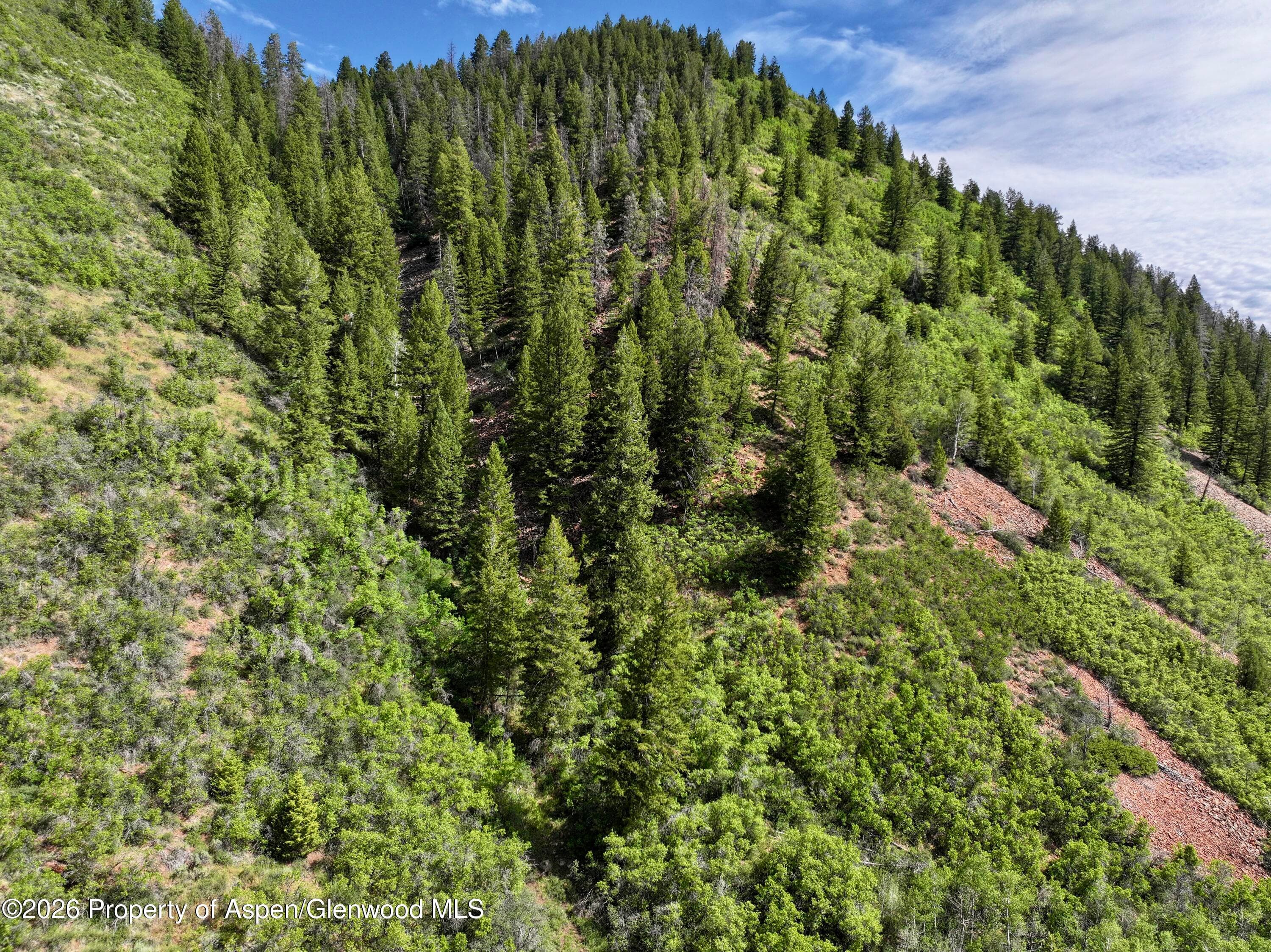 29477 County Road 8, Meeker, CO 81641 - Photo 8