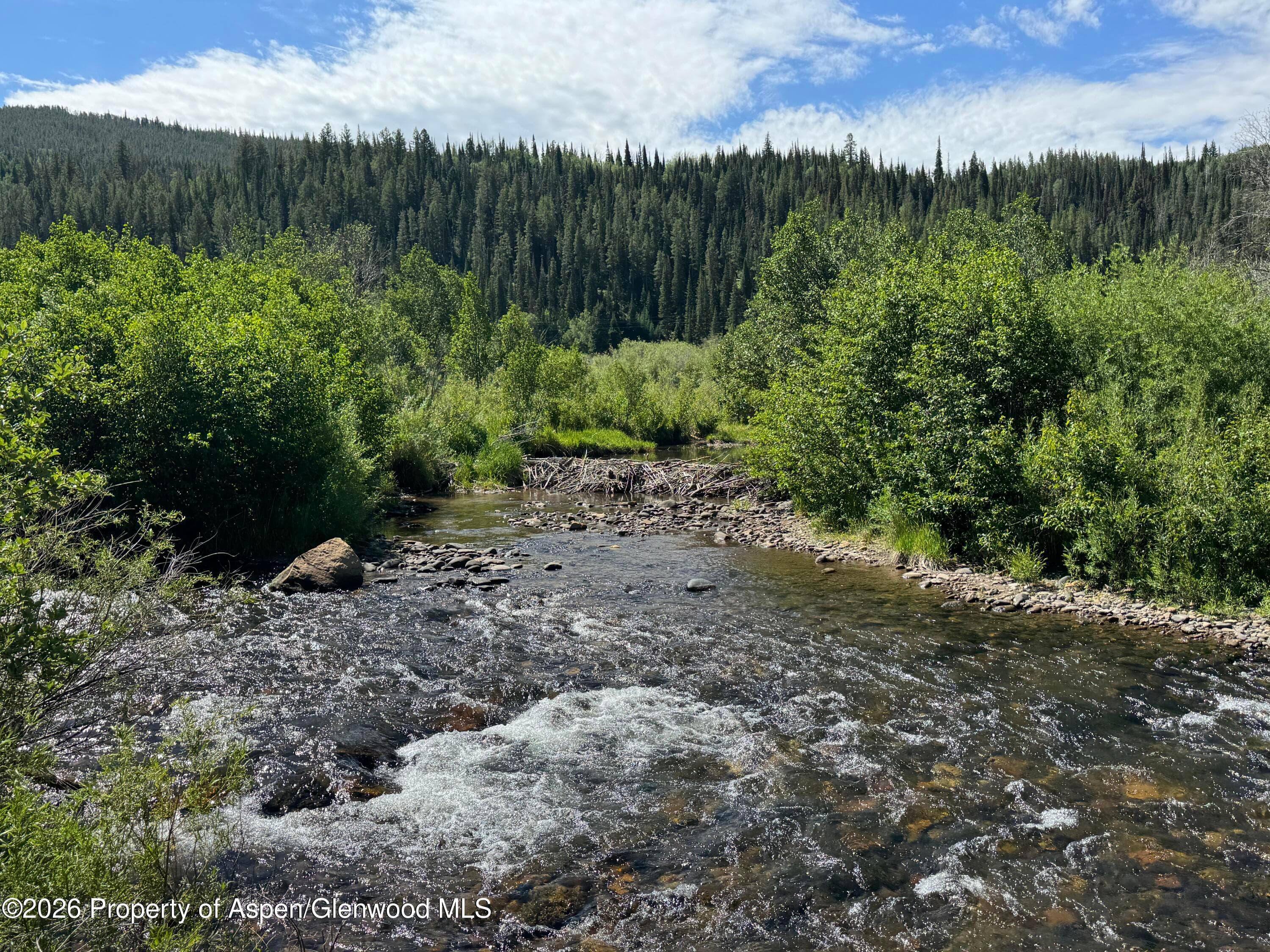29477 County Road 8, Meeker, CO 81641 - Photo 19