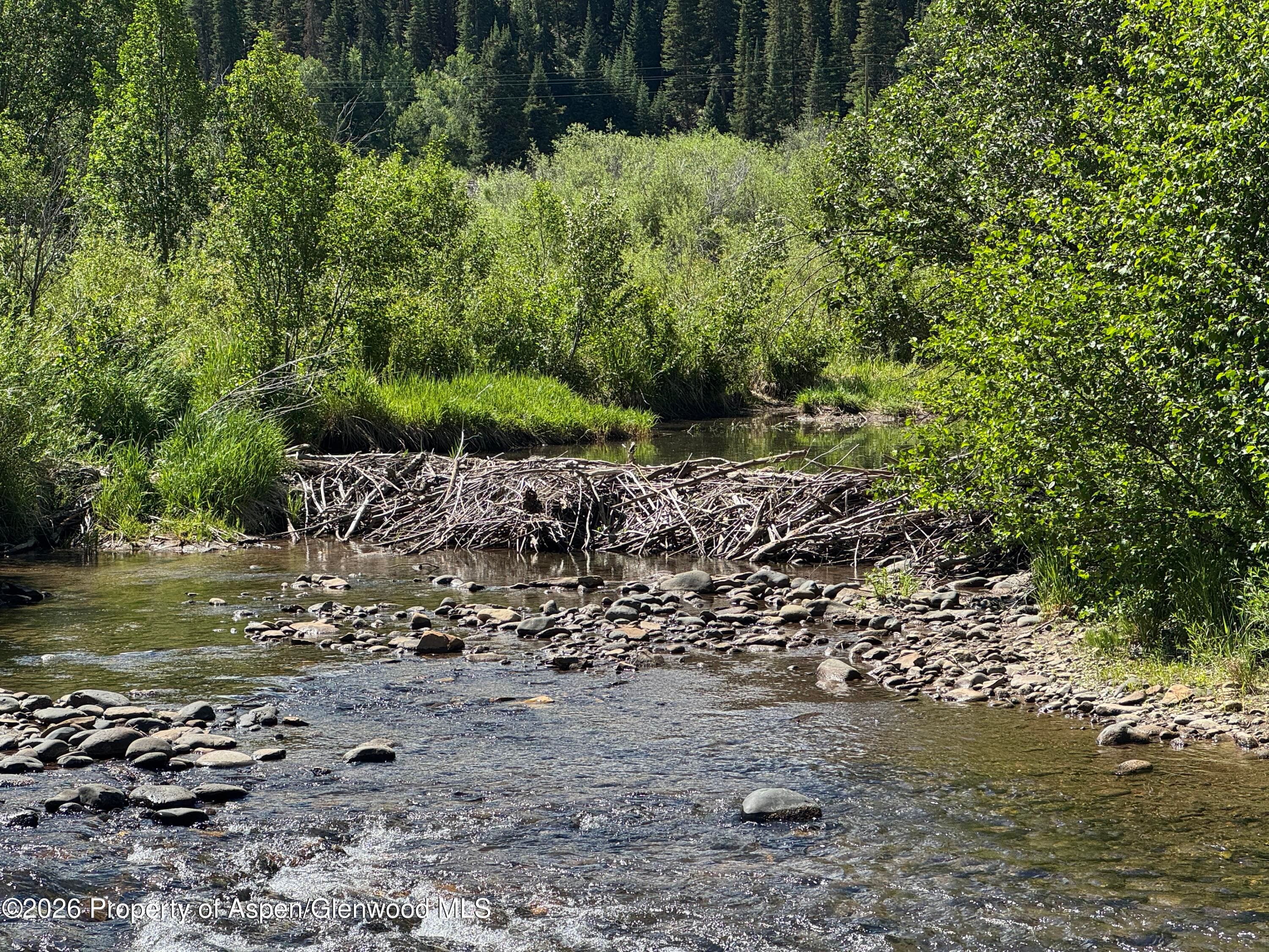 29477 County Road 8, Meeker, CO 81641 - Photo 20
