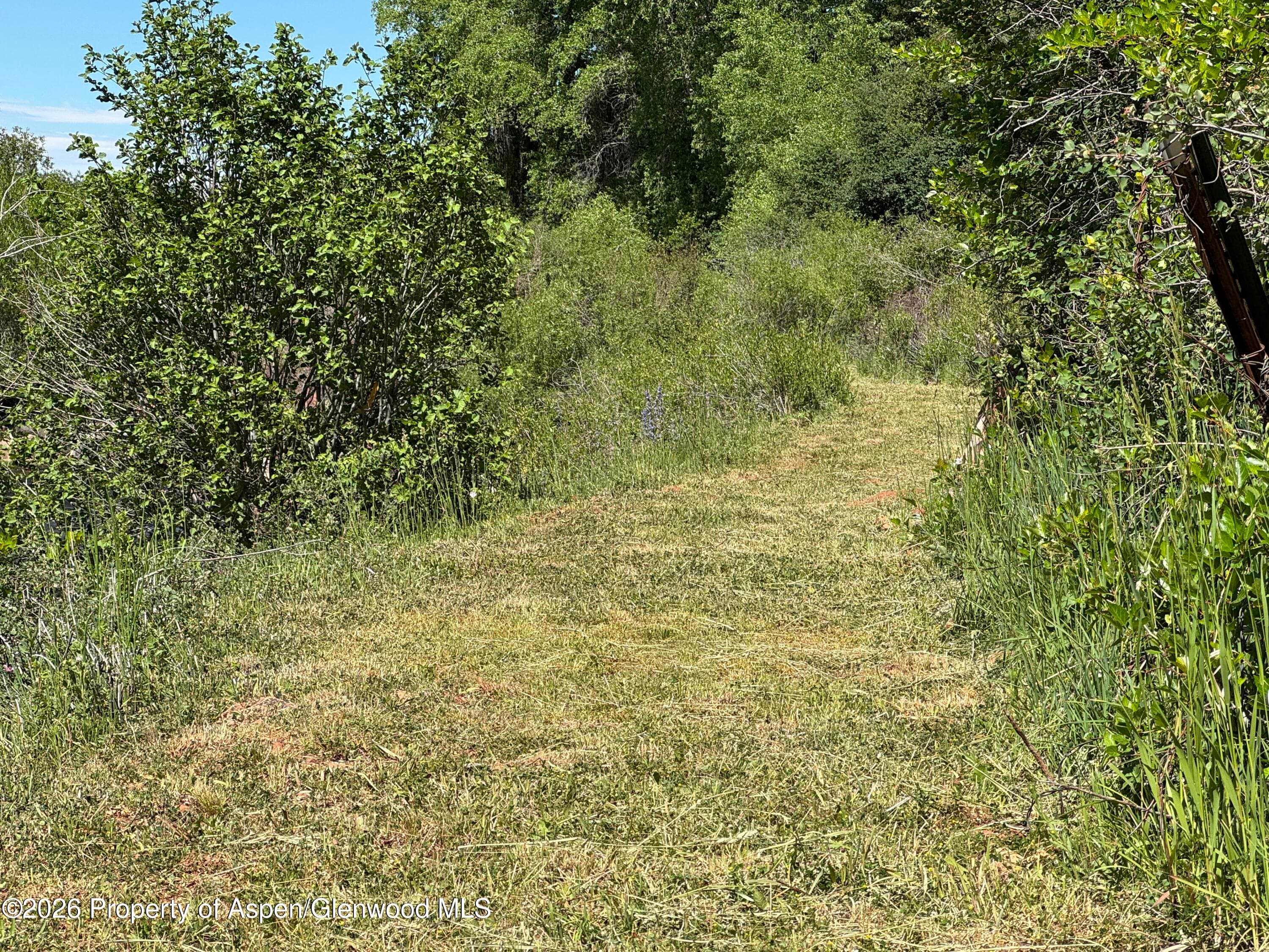 29477 County Road 8, Meeker, CO 81641 - Photo 21