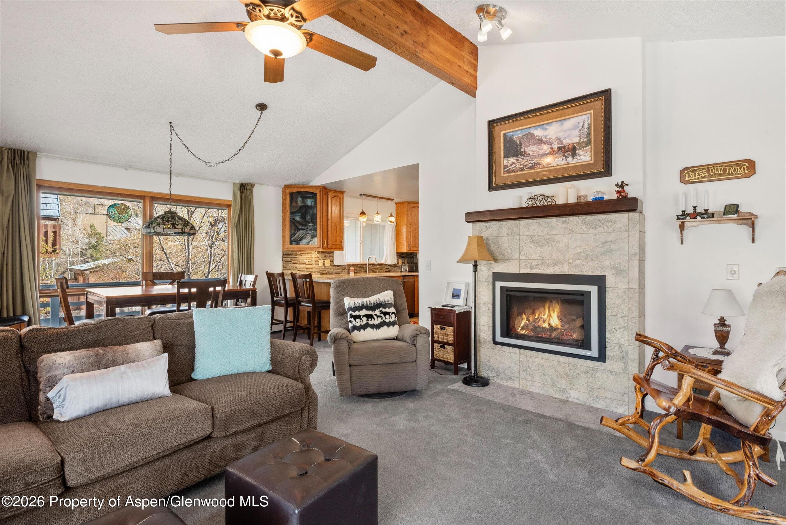 534 And 53 Spruce Street Units 1 And 2, Aspen, CO 81611 - Photo 8