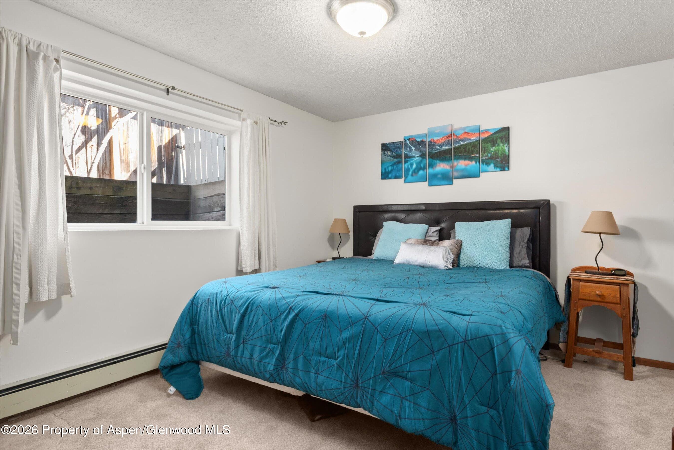 534 And 53 Spruce Street Units 1 And 2, Aspen, CO 81611 - Photo 16