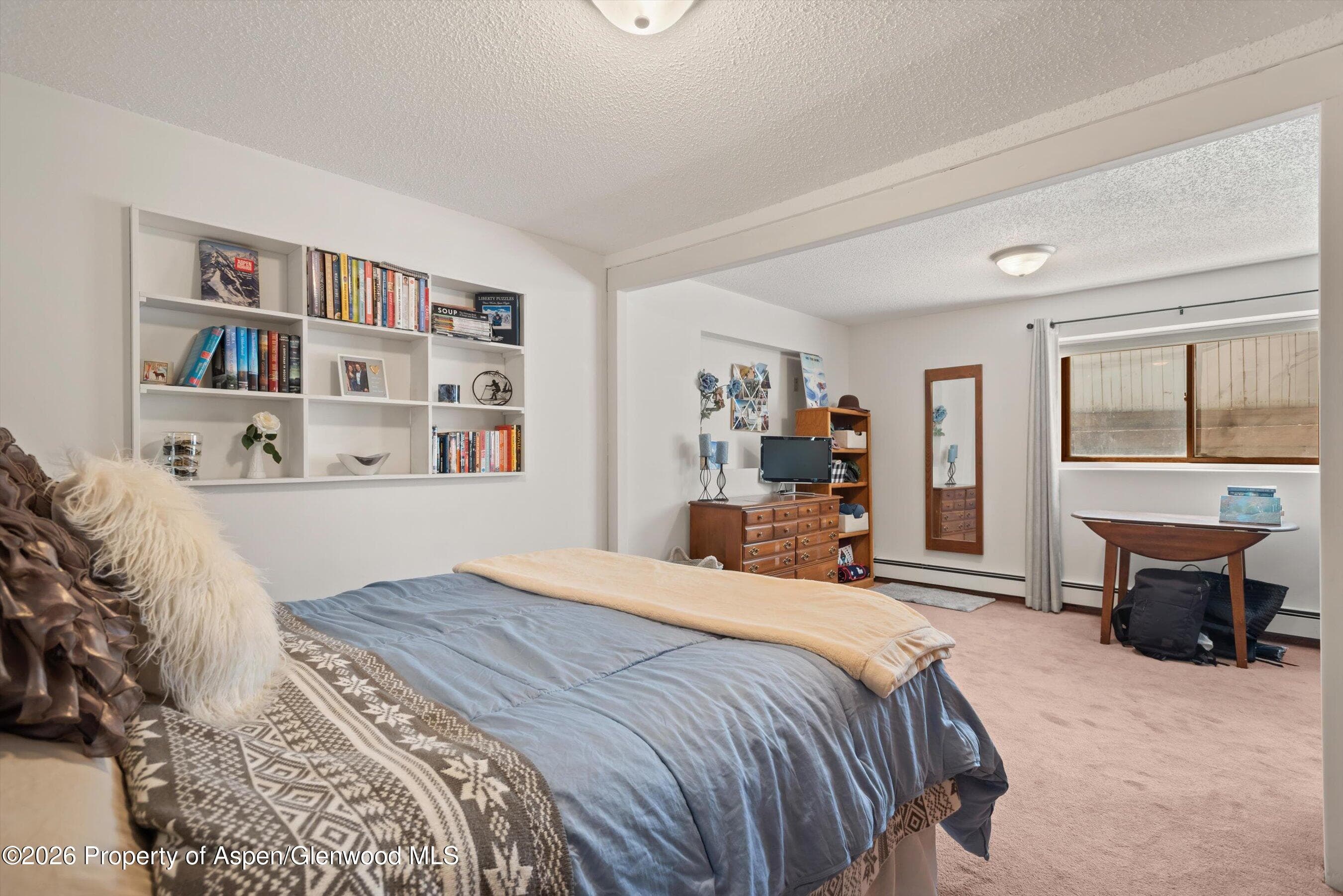 534 And 53 Spruce Street Units 1 And 2, Aspen, CO 81611 - Photo 23