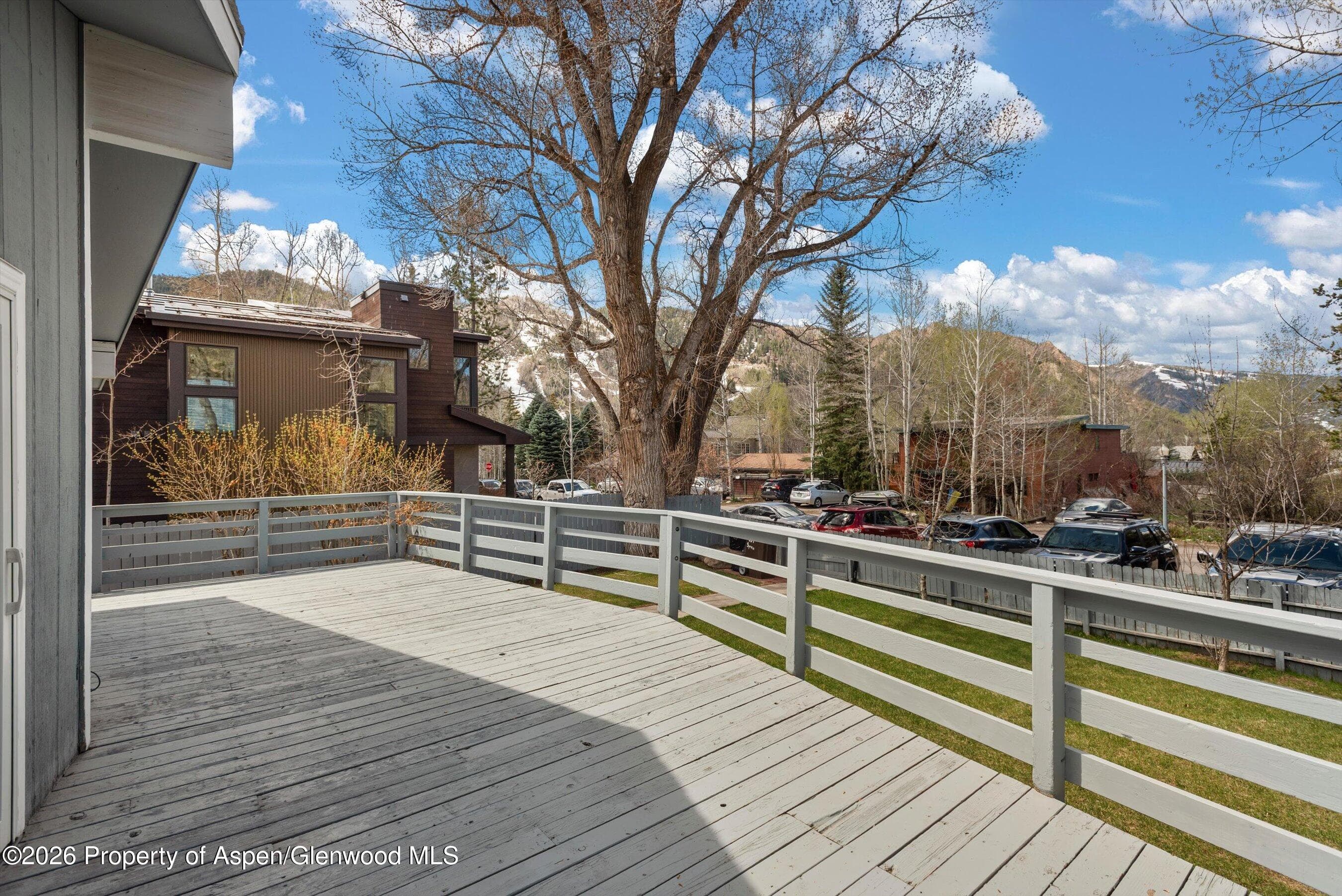 534 And 53 Spruce Street Units 1 And 2, Aspen, CO 81611 - Photo 27