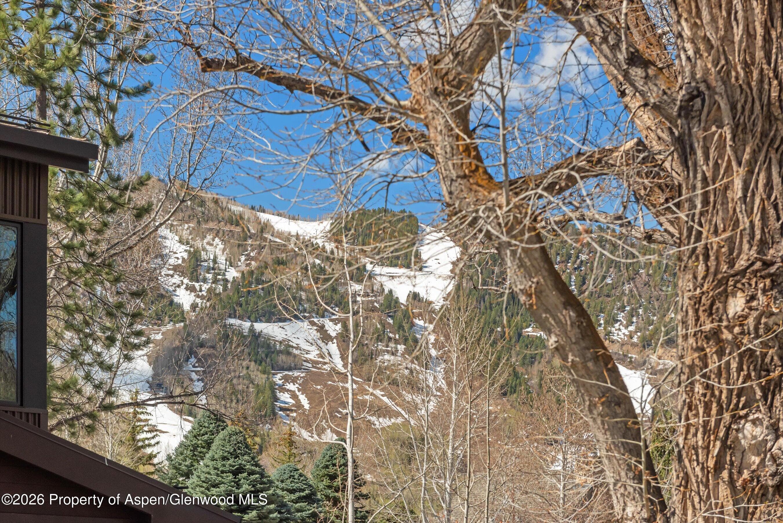 534 And 53 Spruce Street Units 1 And 2, Aspen, CO 81611 - Photo 28