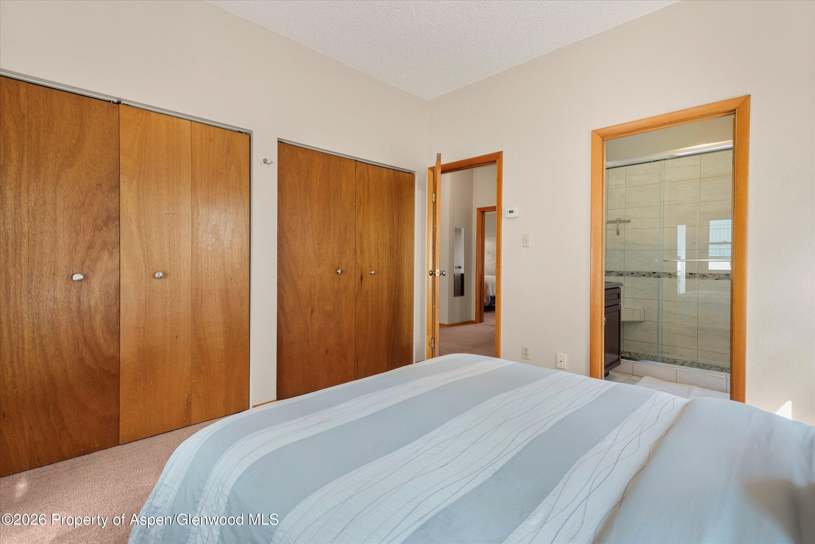 534 And 53 Spruce Street Units 1 And 2, Aspen, CO 81611 - Photo 53
