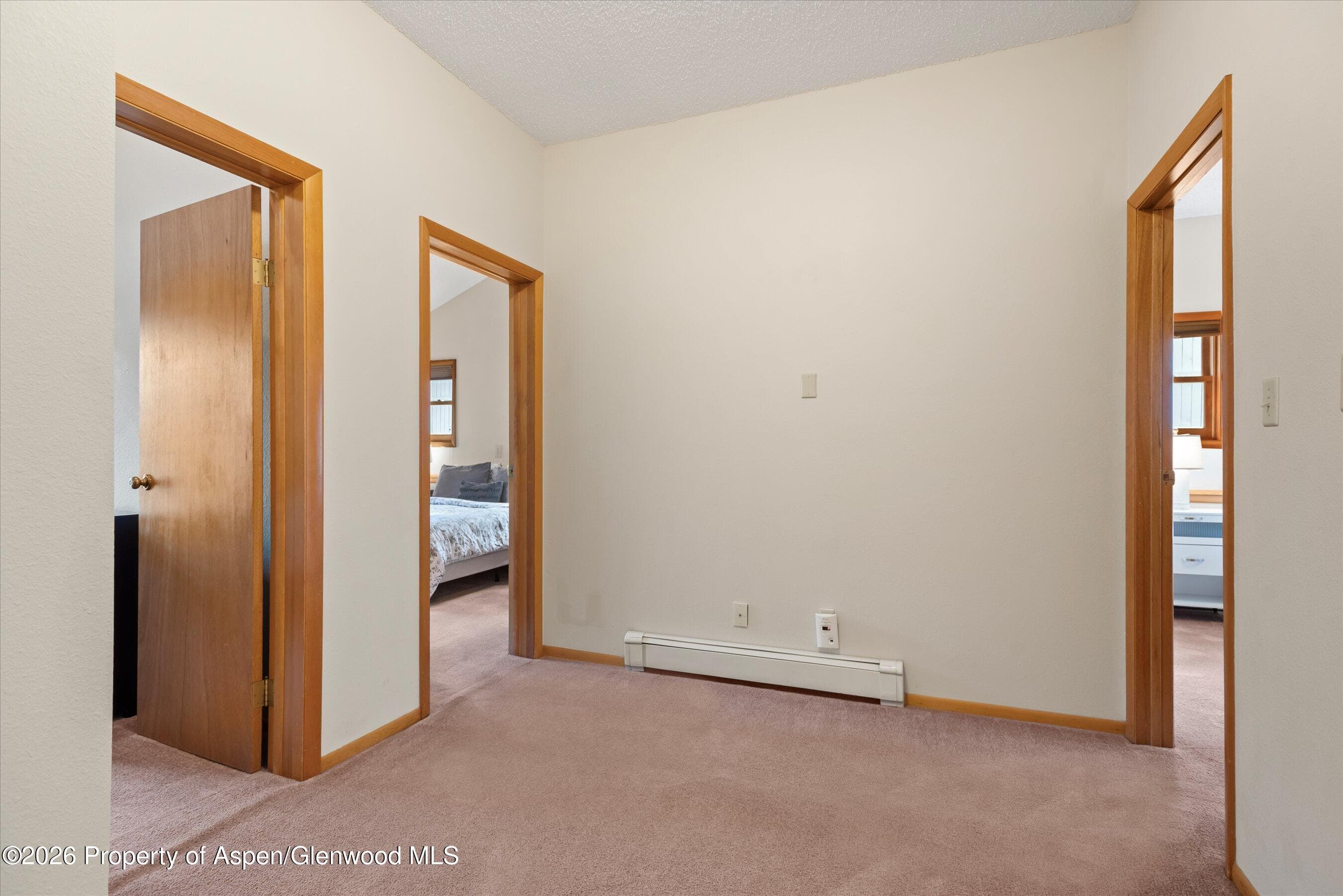 534 And 53 Spruce Street Units 1 And 2, Aspen, CO 81611 - Photo 55