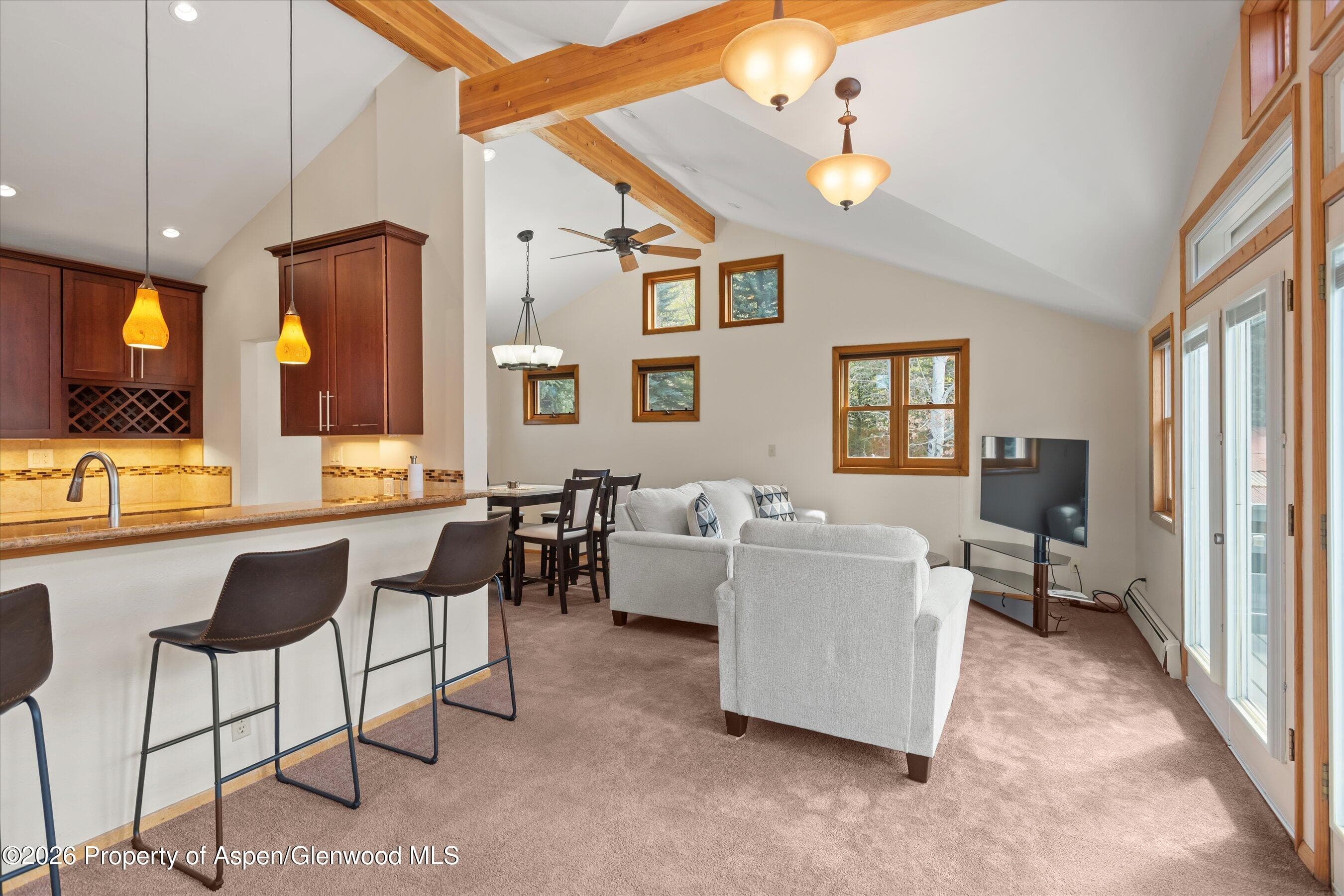 534 And 53 Spruce Street Units 1 And 2, Aspen, CO 81611 - Photo 65