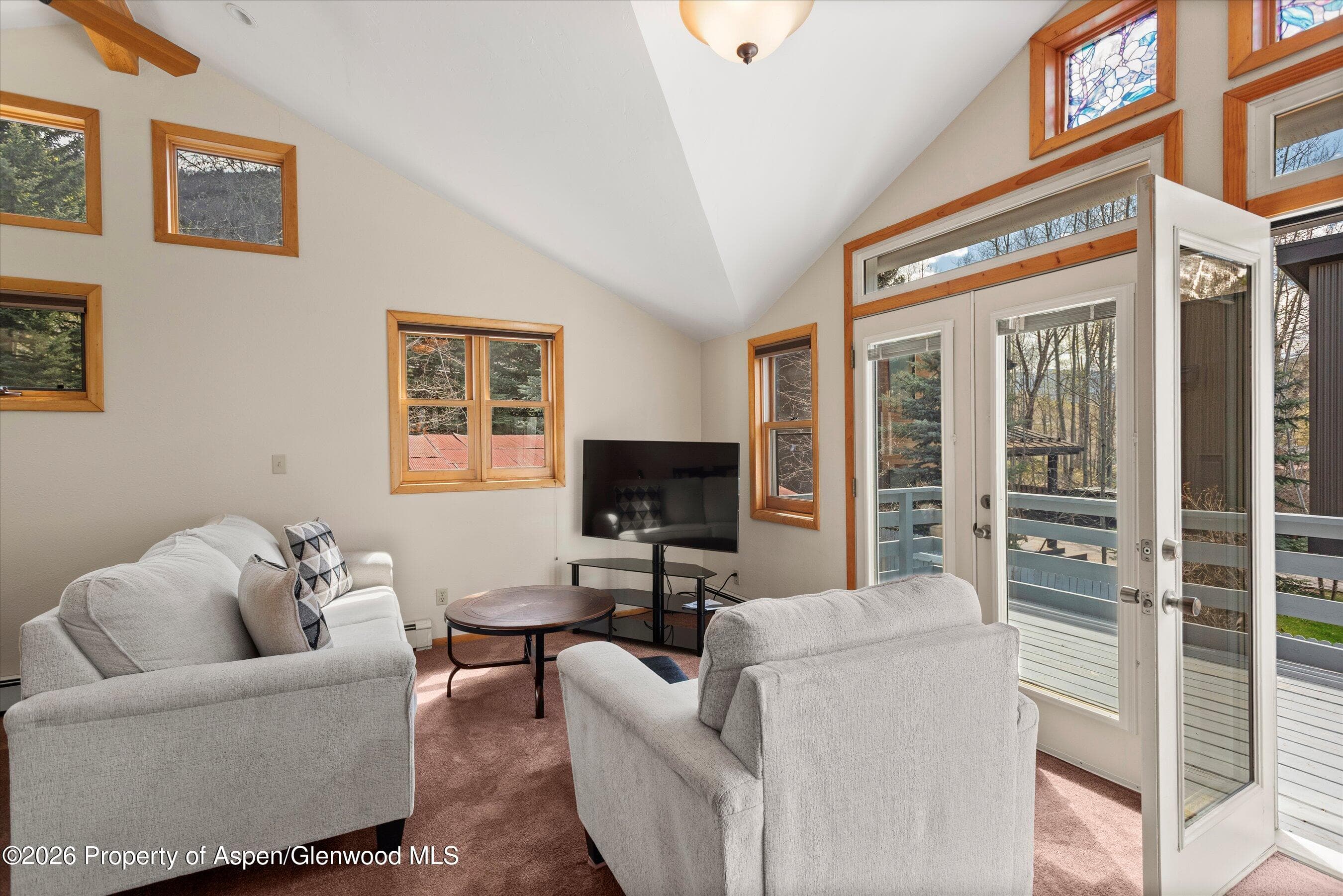 534 And 53 Spruce Street Units 1 And 2, Aspen, CO 81611 - Photo 66