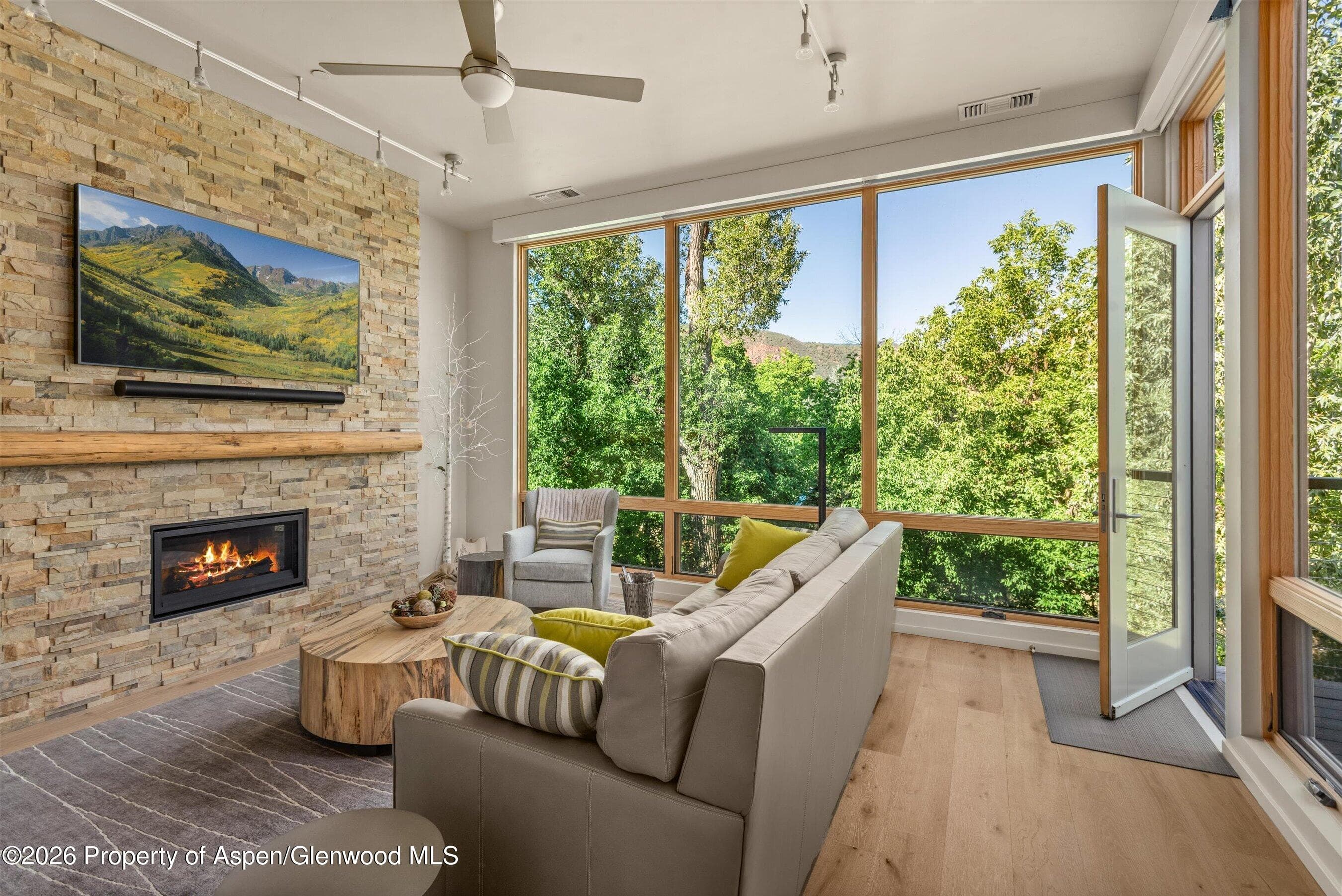 101 Willits Way 205, Basalt, CO 81621 - Photo 4