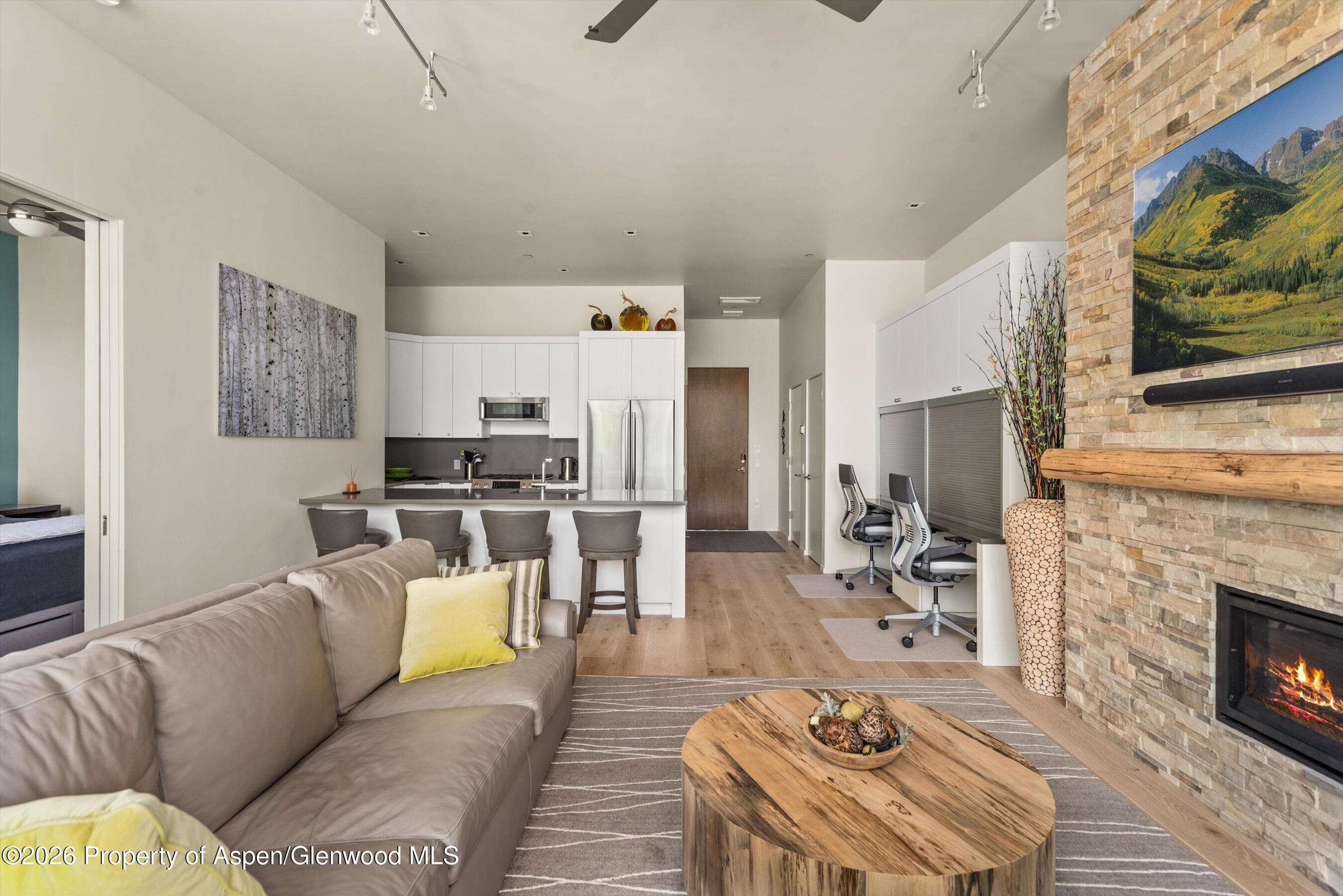 101 Willits Way 205, Basalt, CO 81621 - Photo 8