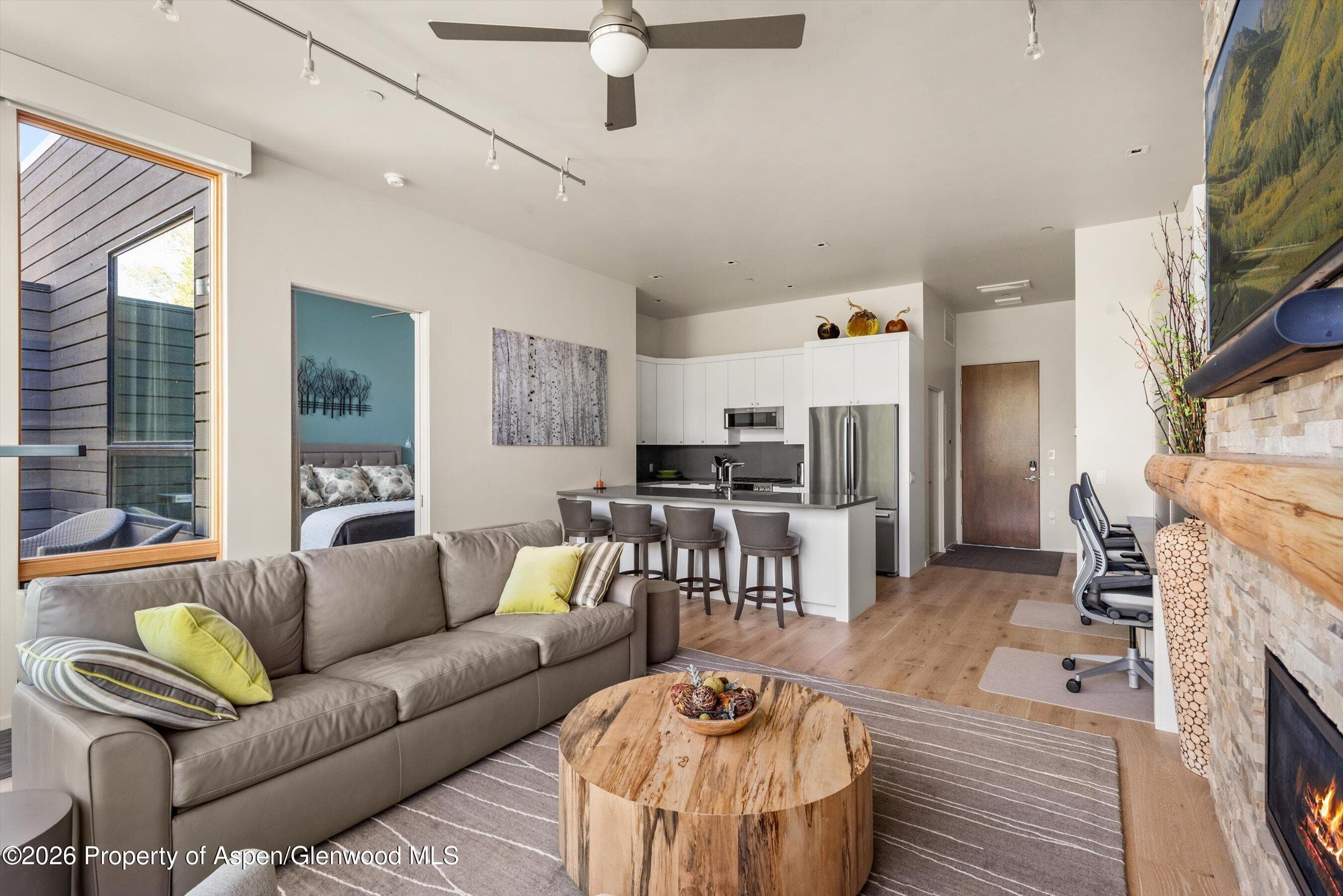101 Willits Way 205, Basalt, CO 81621 - Photo 9