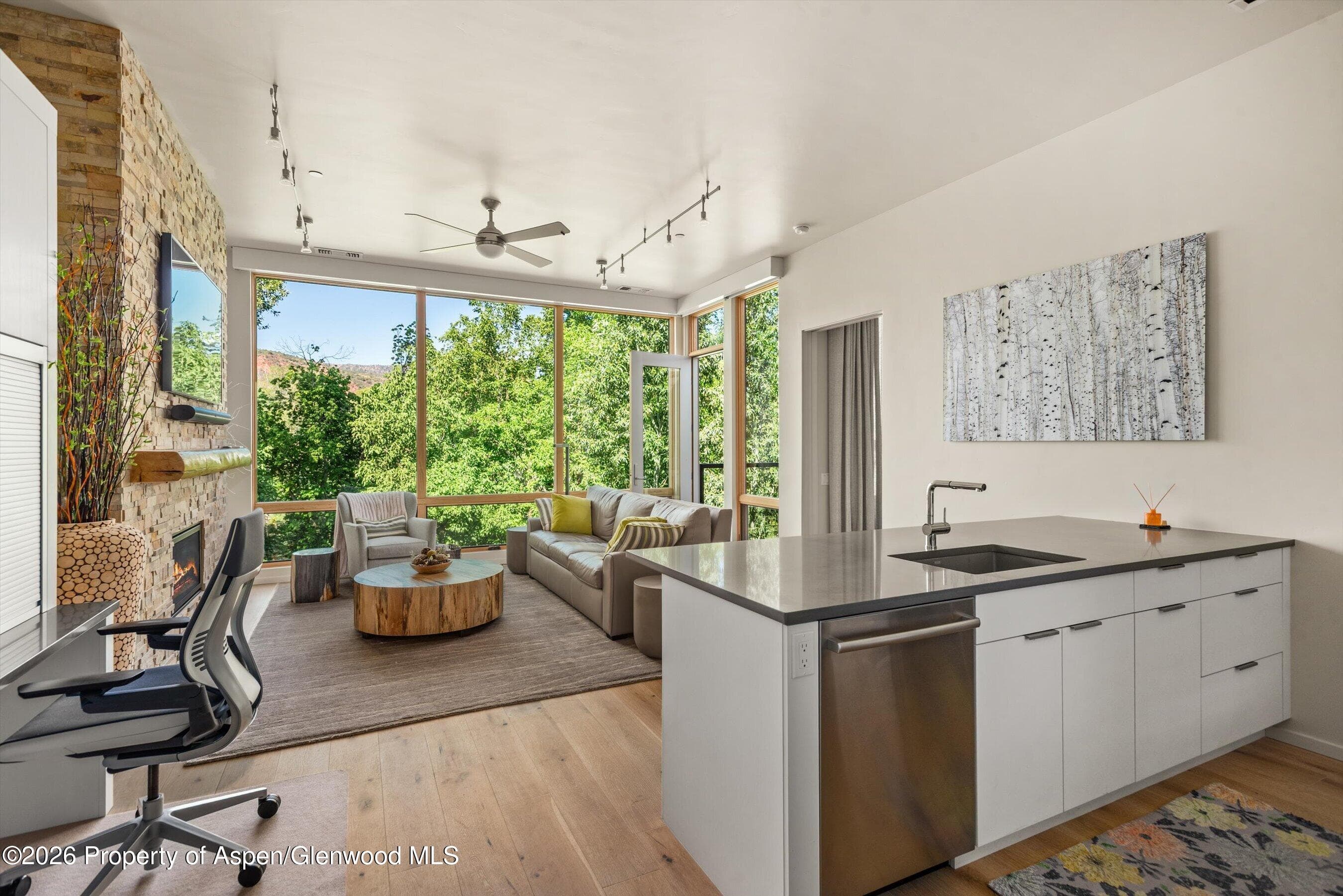 101 Willits Way 205, Basalt, CO 81621 - Photo 16