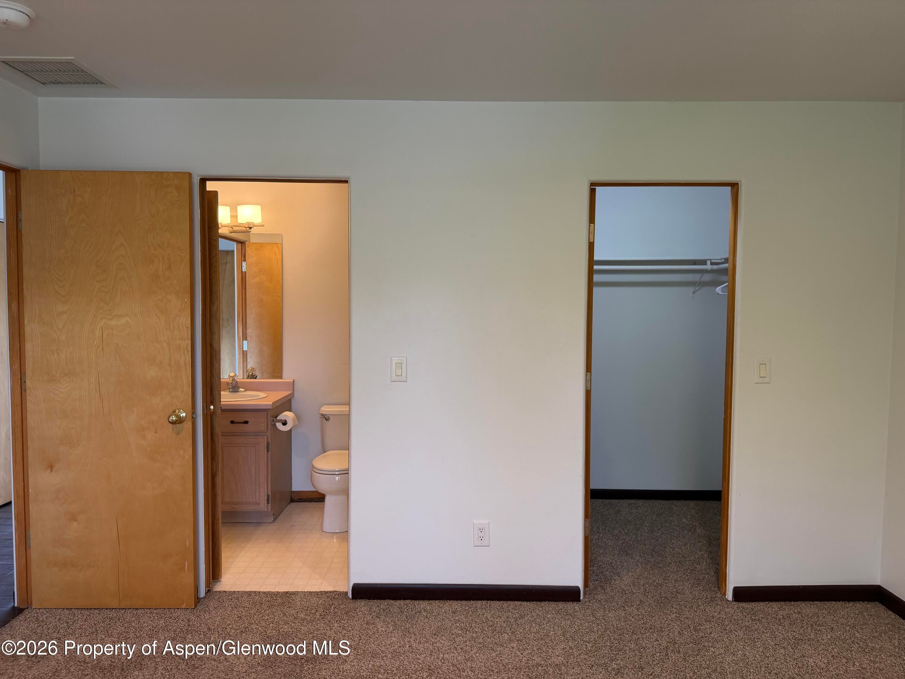 60 S 8th Street 301, Carbondale, CO 81623 - Photo 6