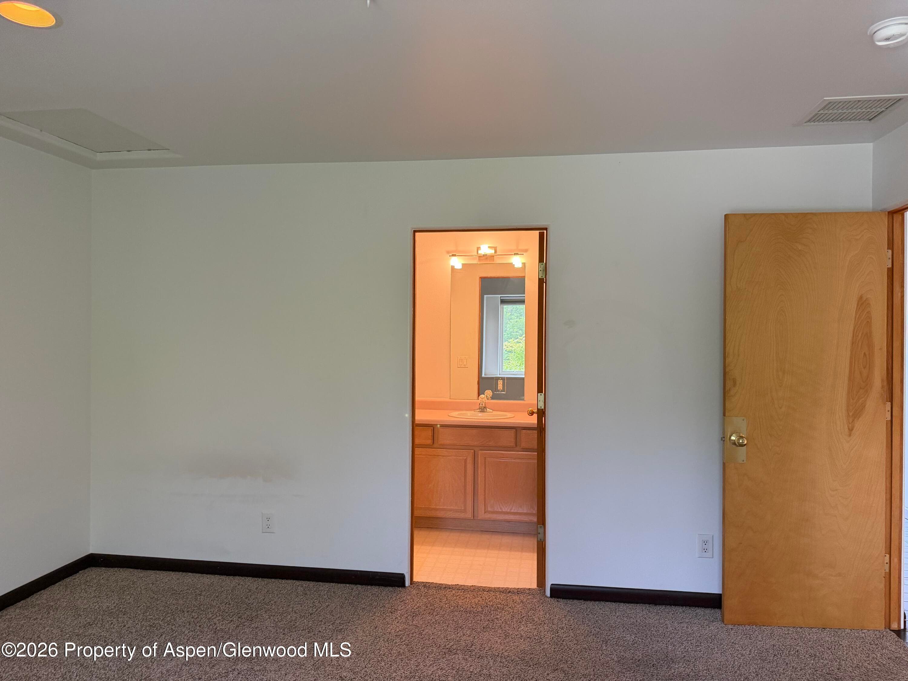 60 S 8th Street 301, Carbondale, CO 81623 - Photo 7