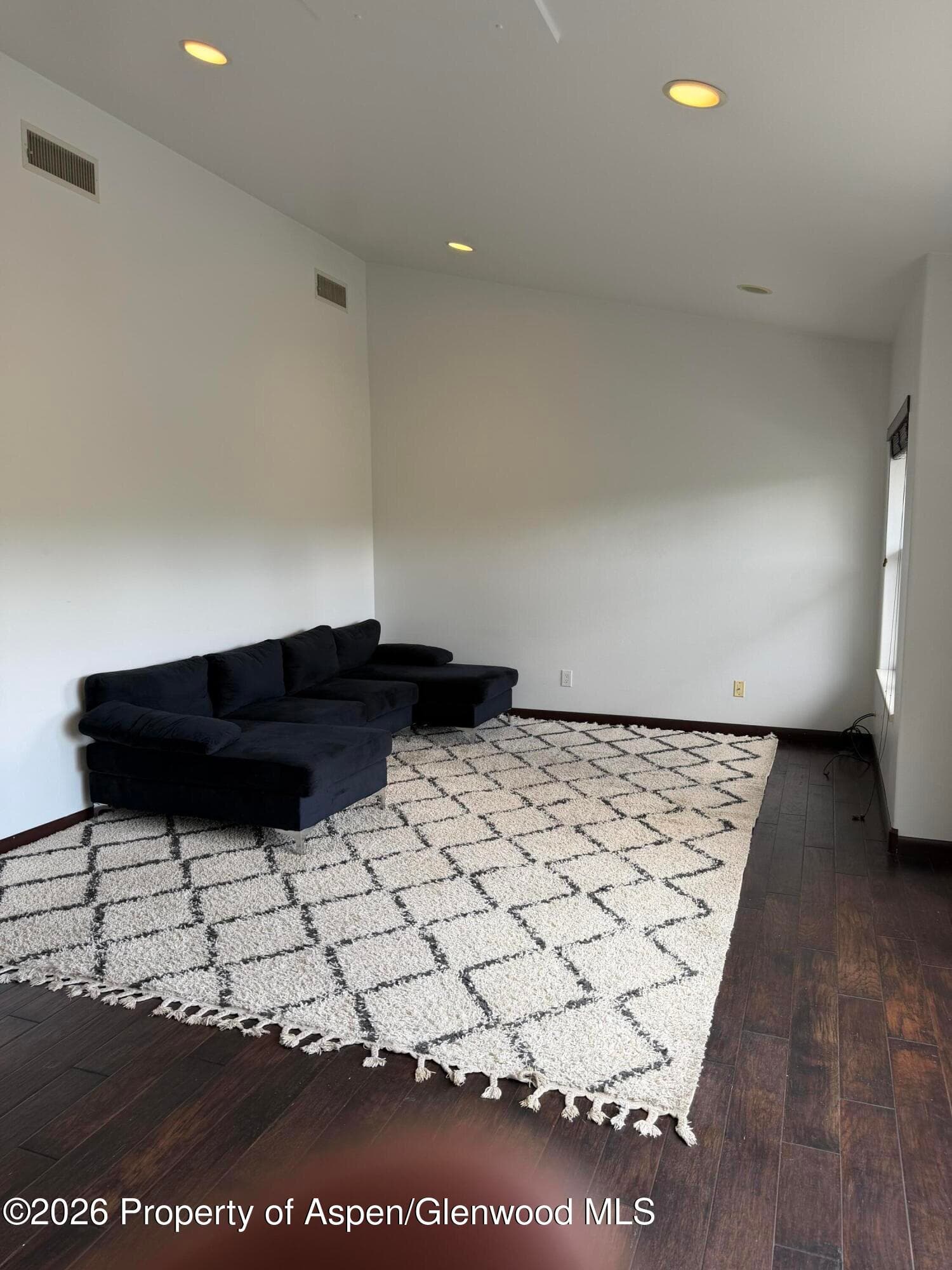 60 S 8th Street 301, Carbondale, CO 81623 - Photo 3