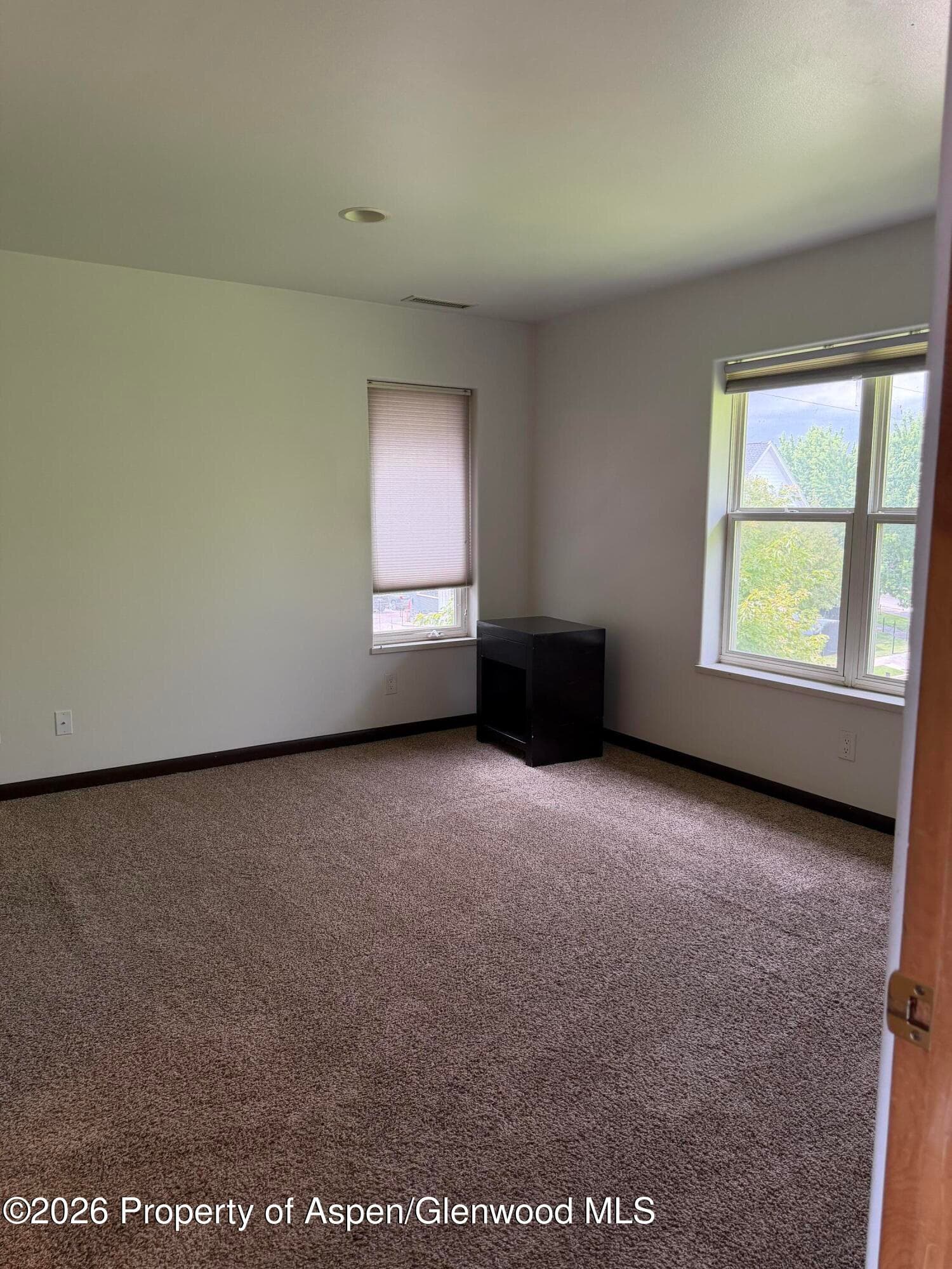 60 S 8th Street 301, Carbondale, CO 81623 - Photo 5