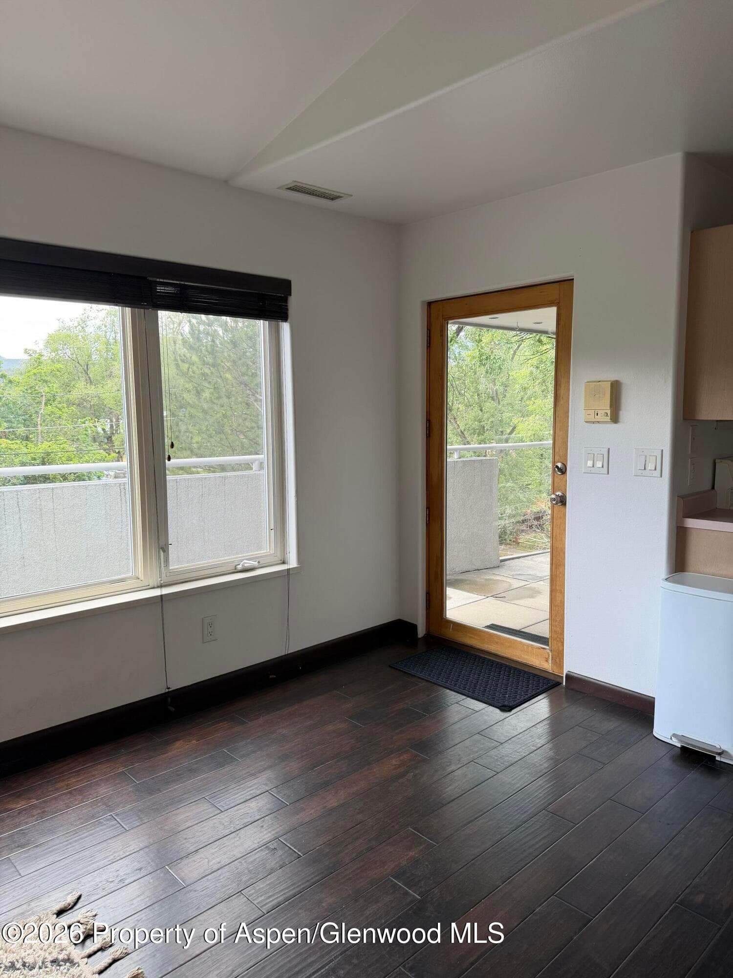 60 S 8th Street 301, Carbondale, CO 81623 - Photo 8