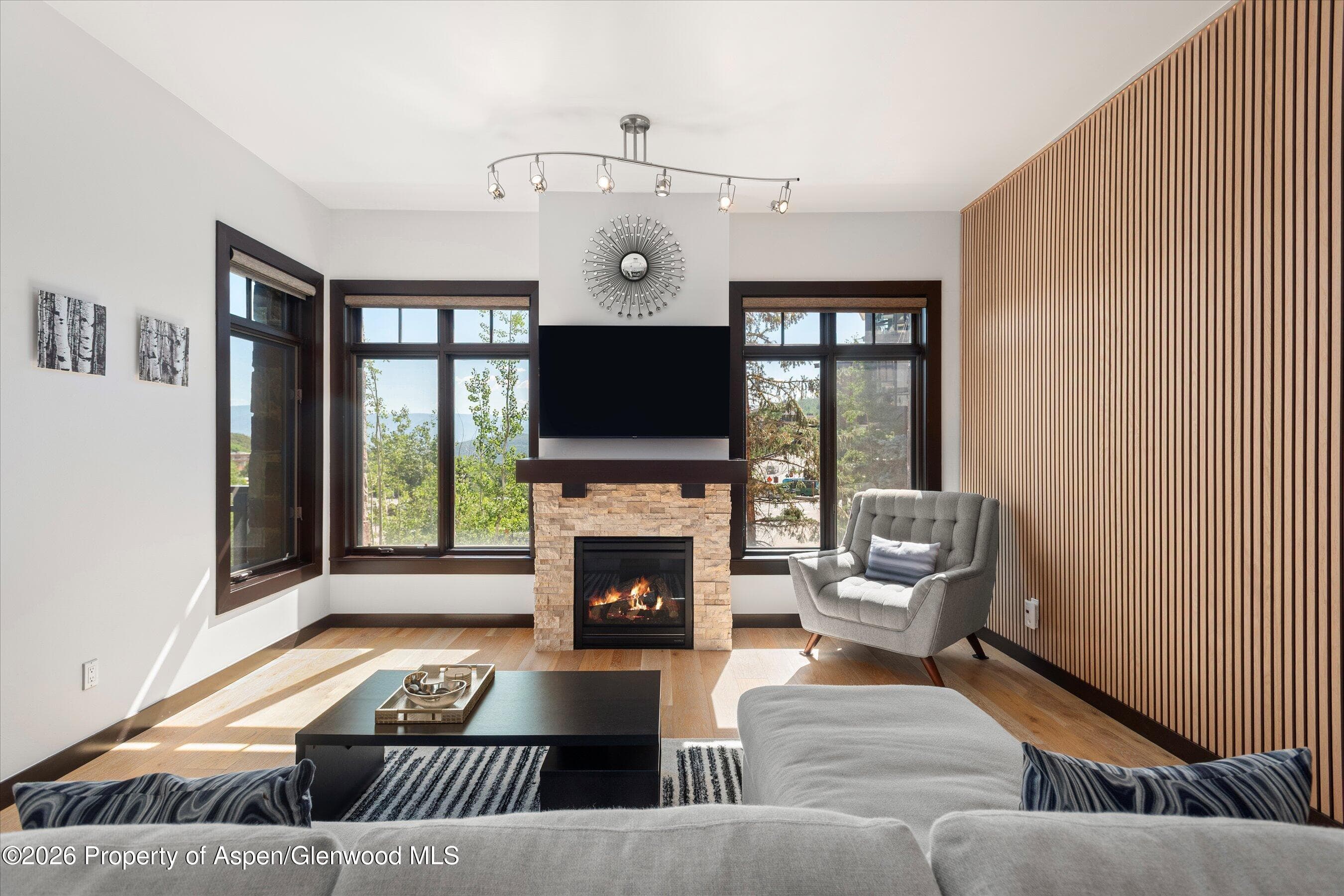 60 Carriage Way 3032, Snowmass Village, CO 81615 - Photo 3