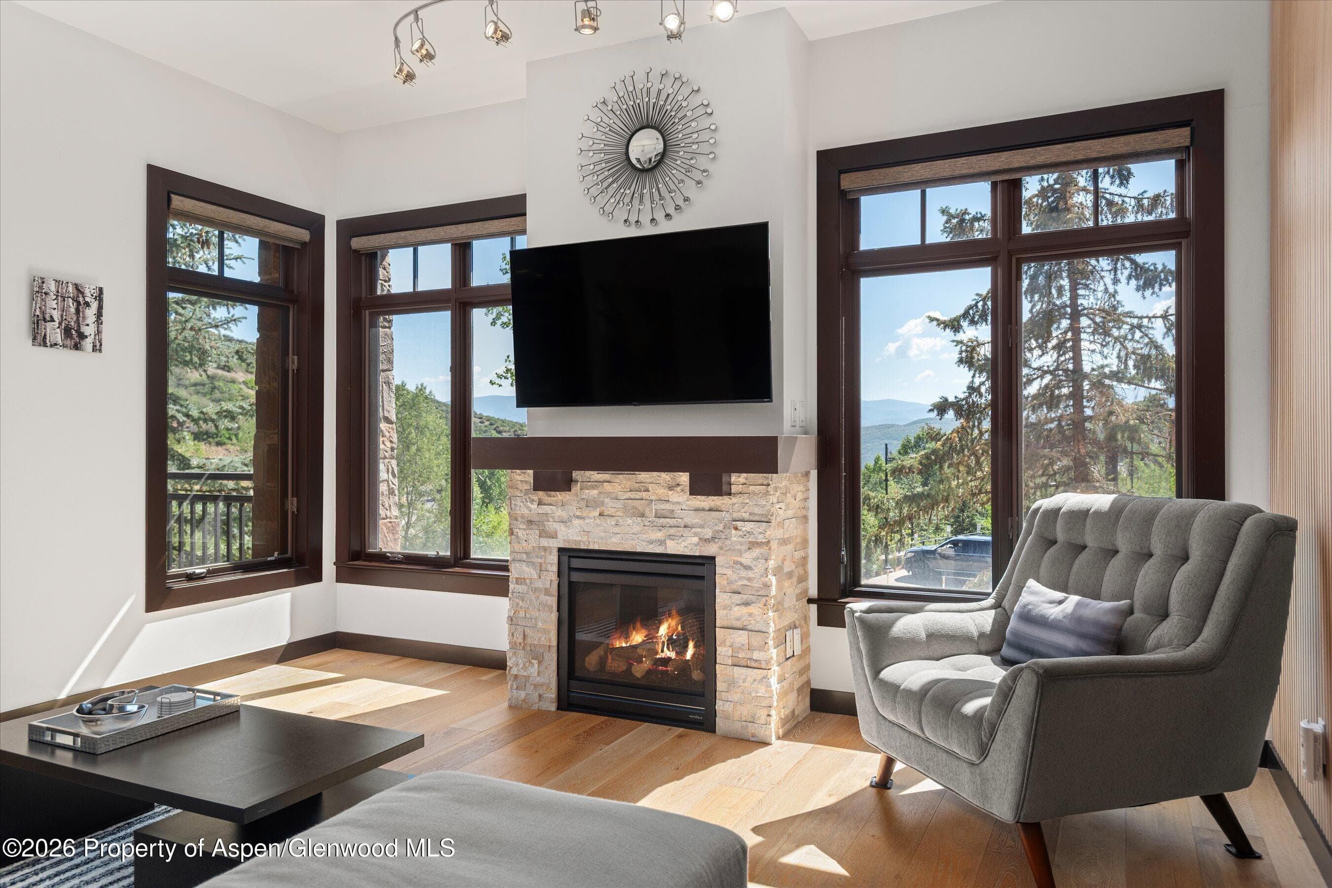 60 Carriage Way 3032, Snowmass Village, CO 81615 - Photo 2